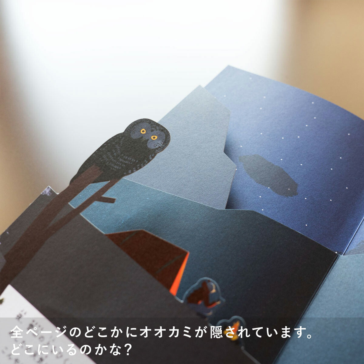 ルー、山へ行く しかけ絵本 作/アヌック・ボワロベール ルイ・リゴー 訳/松田素子 アノニマ・スタジオ