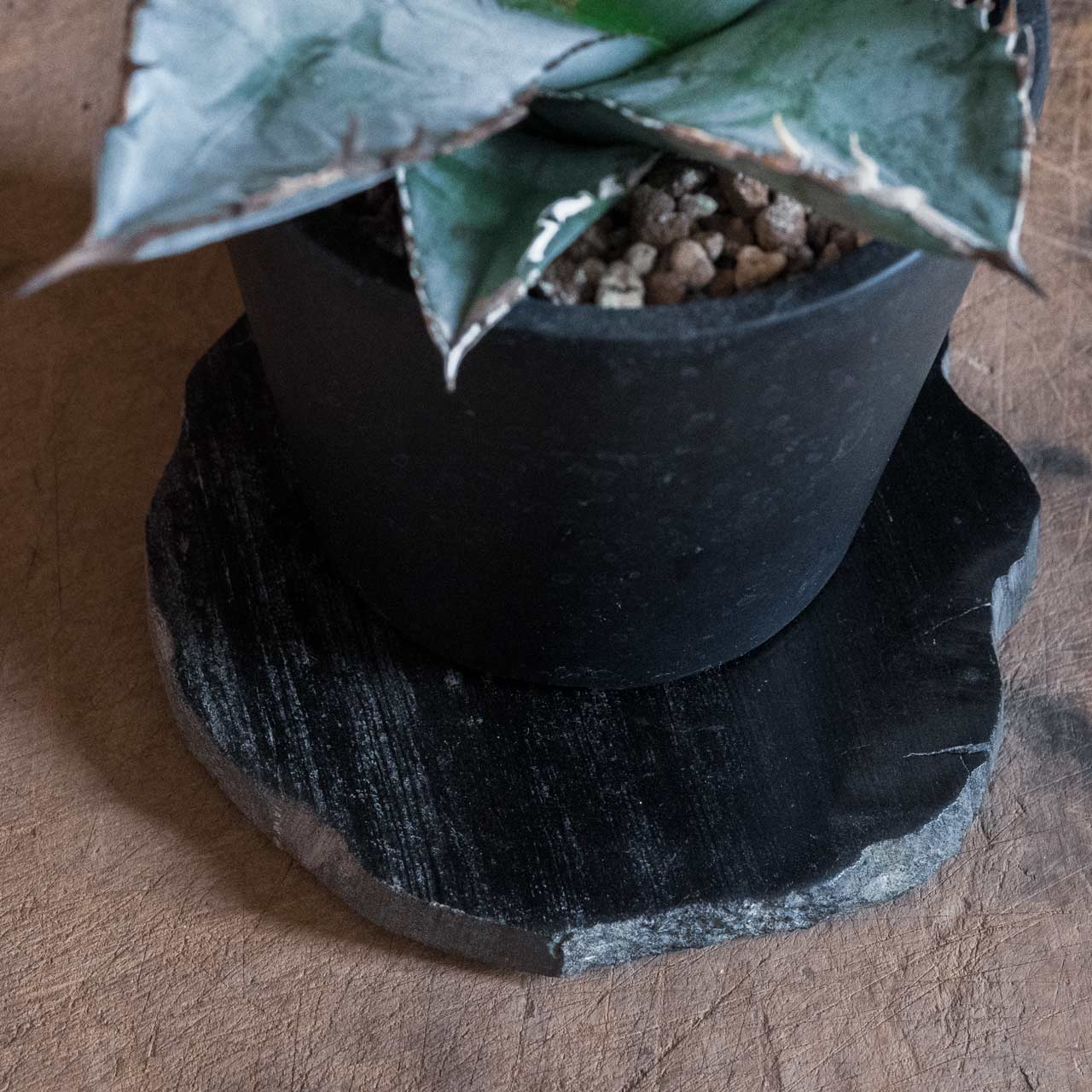 【個体で選べる】 amabro WOOD COASTER Black 珪化木