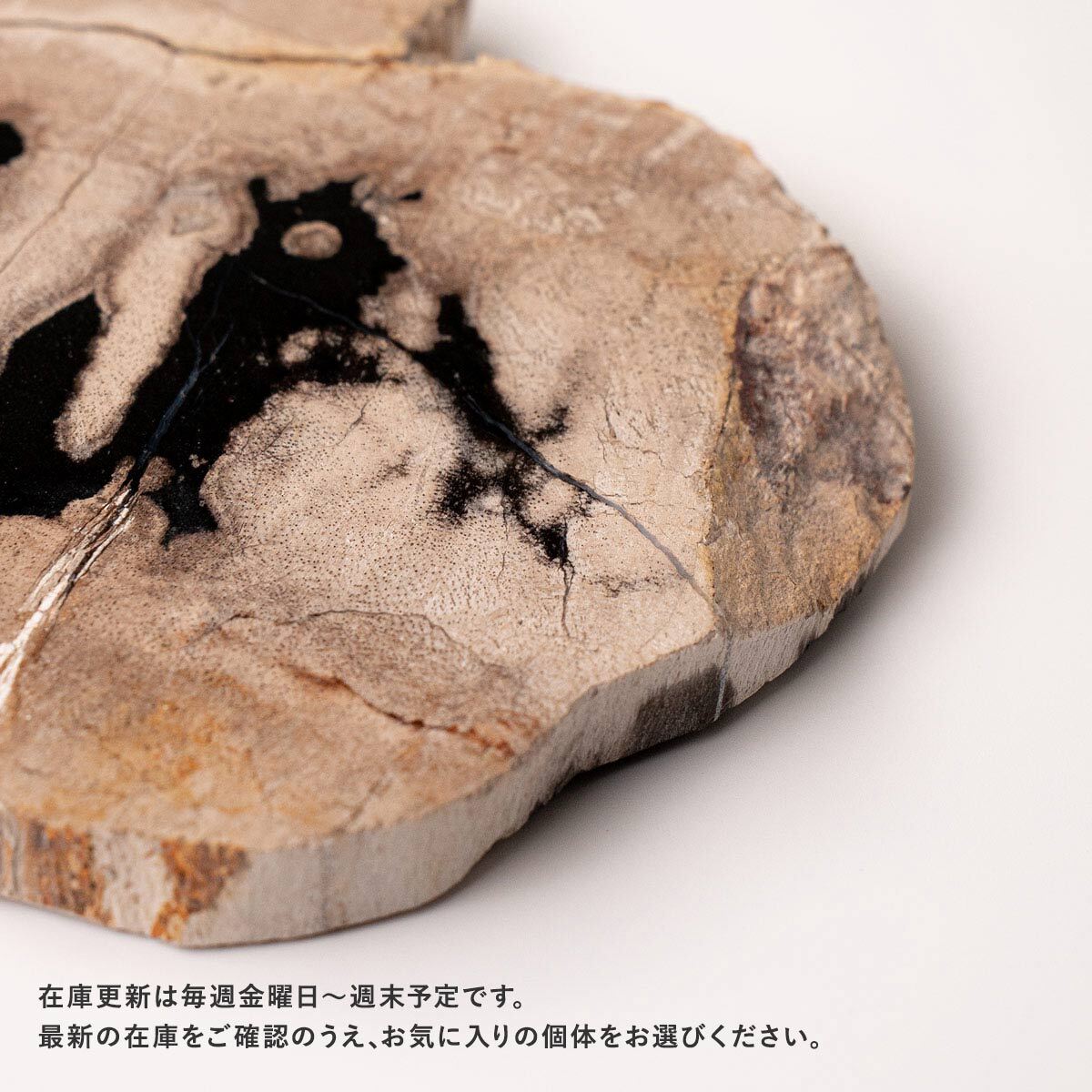 【個体で選べる】amabro WOOD COASTER Natural 珪化木