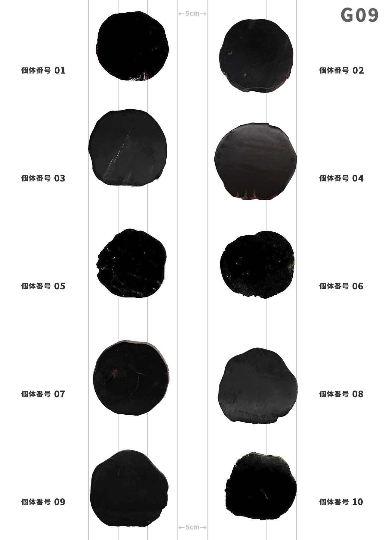 【個体で選べる】 amabro WOOD COASTER Black 珪化木