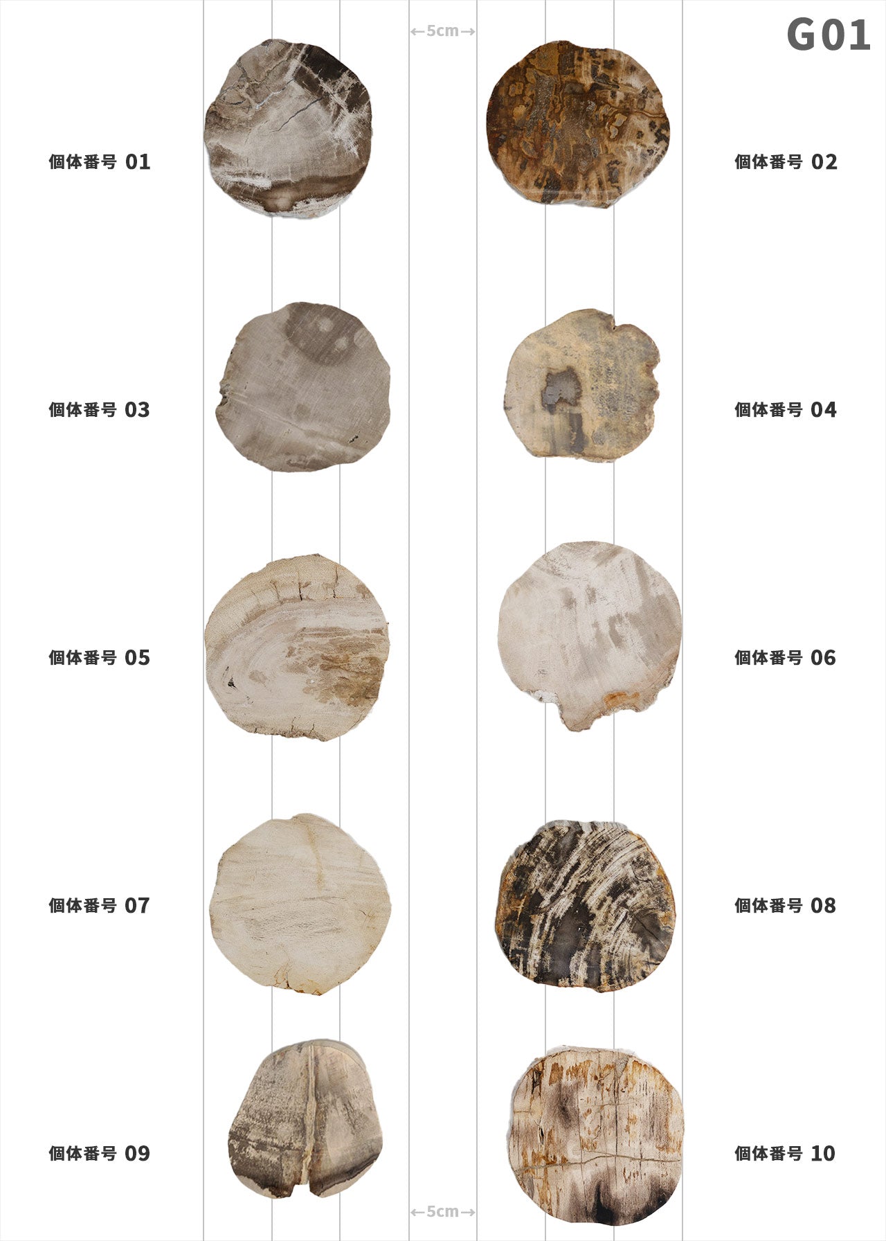 【個体で選べる】amabro WOOD COASTER Natural 珪化木
