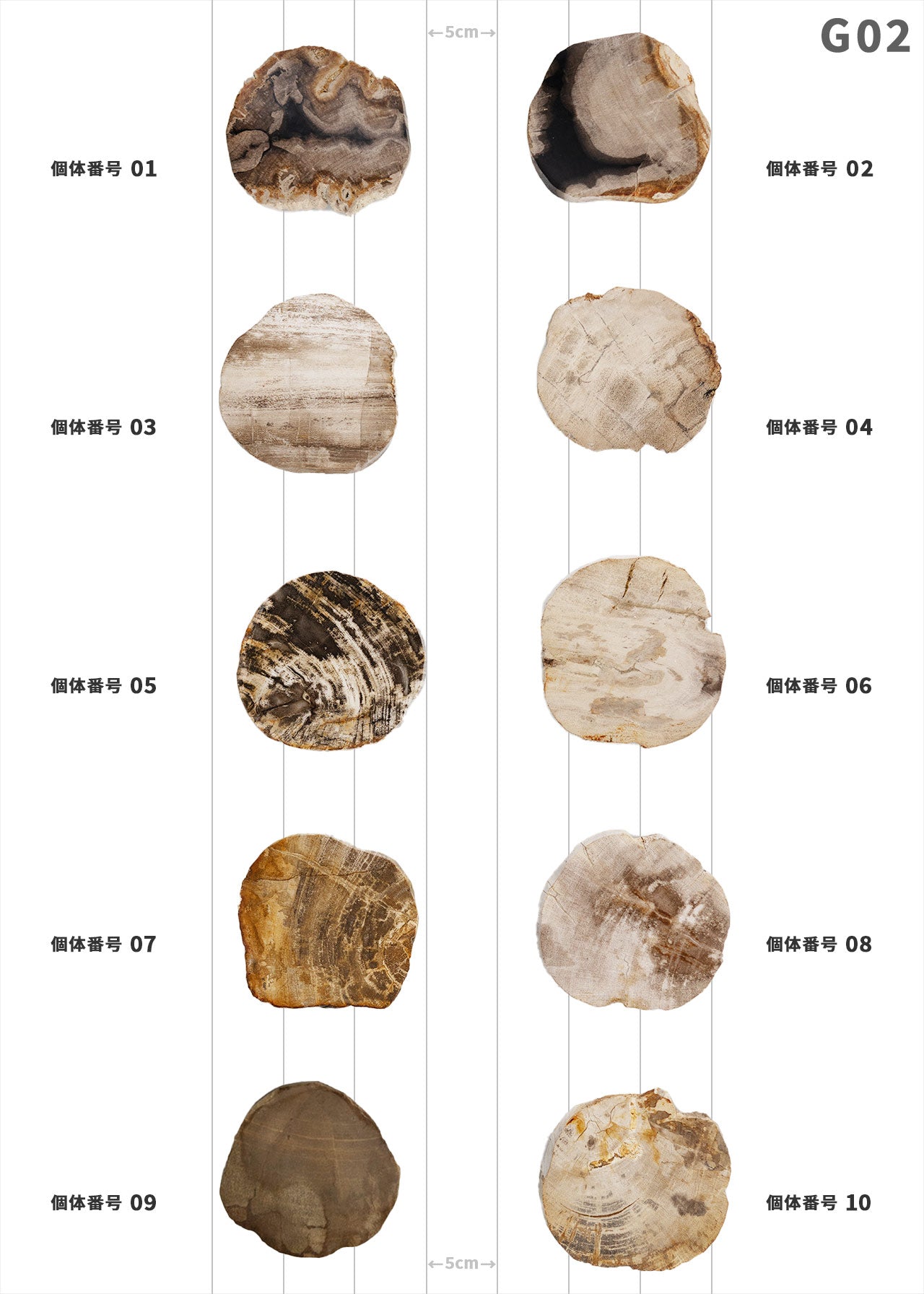 【個体で選べる】amabro WOOD COASTER Natural 珪化木