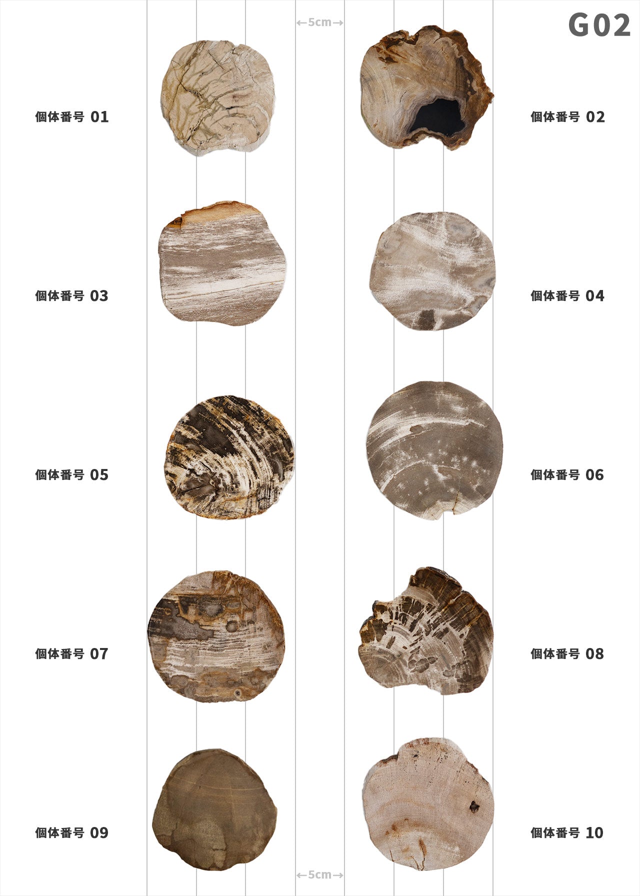 【個体で選べる】amabro WOOD COASTER Natural 珪化木