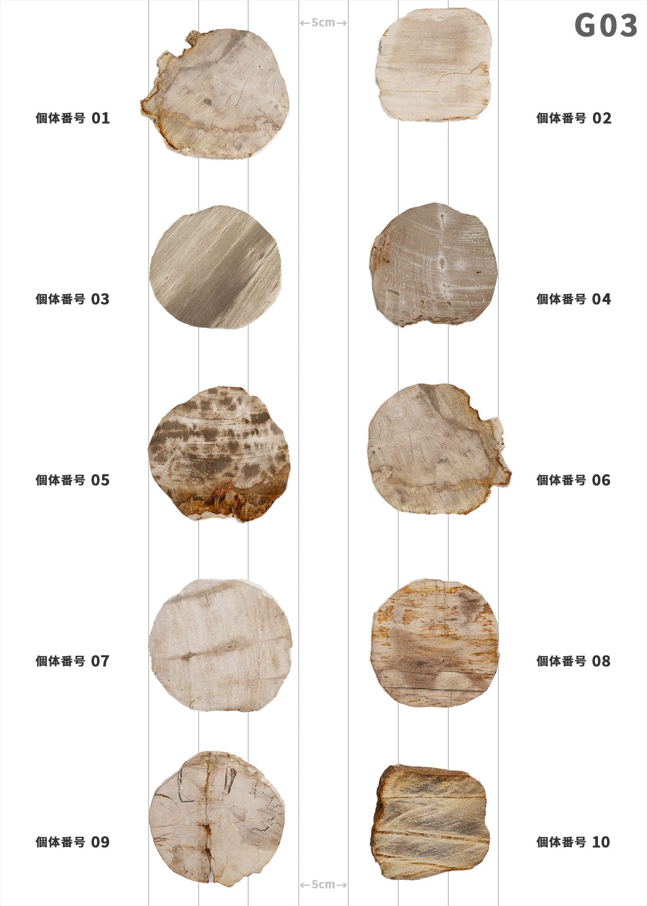 【個体で選べる】amabro WOOD COASTER Natural 珪化木