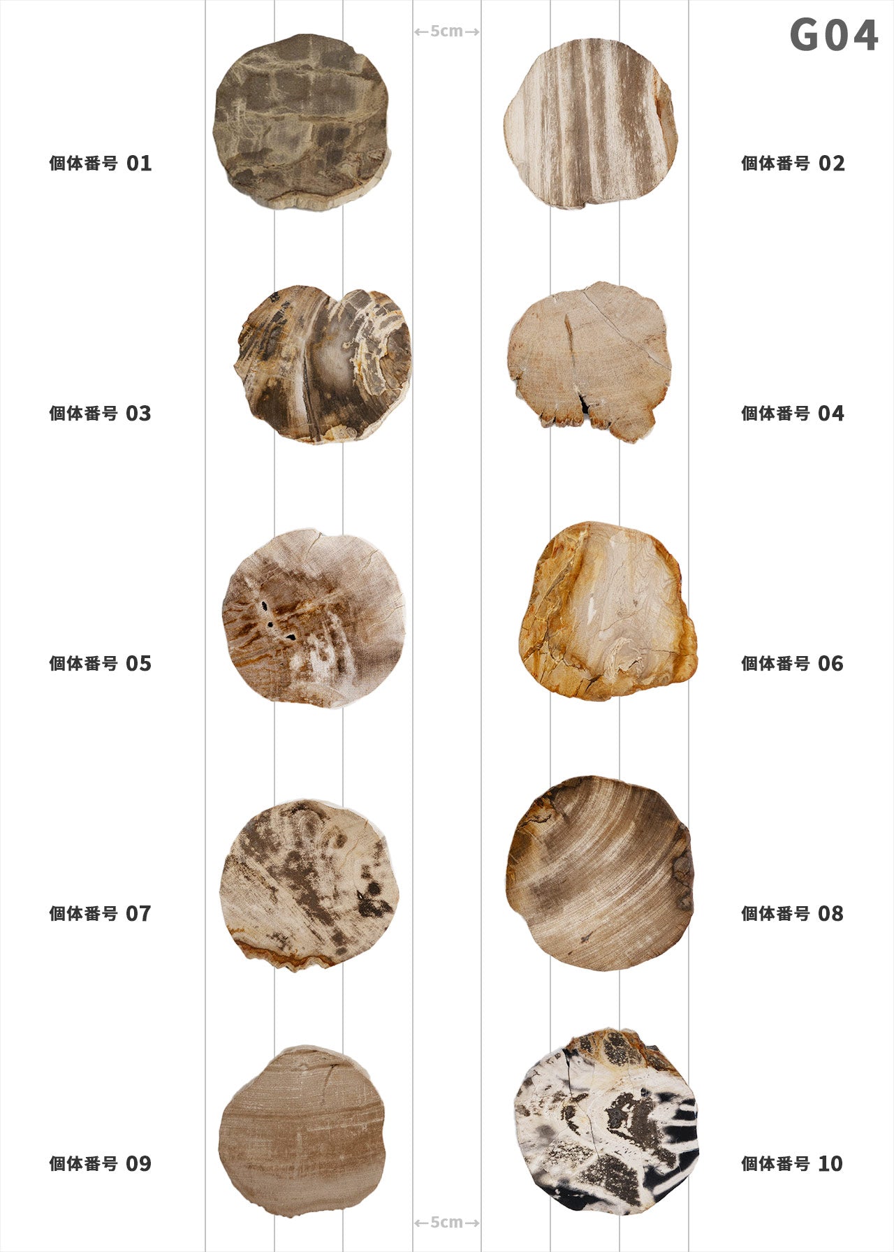 【個体で選べる】amabro WOOD COASTER Natural 珪化木