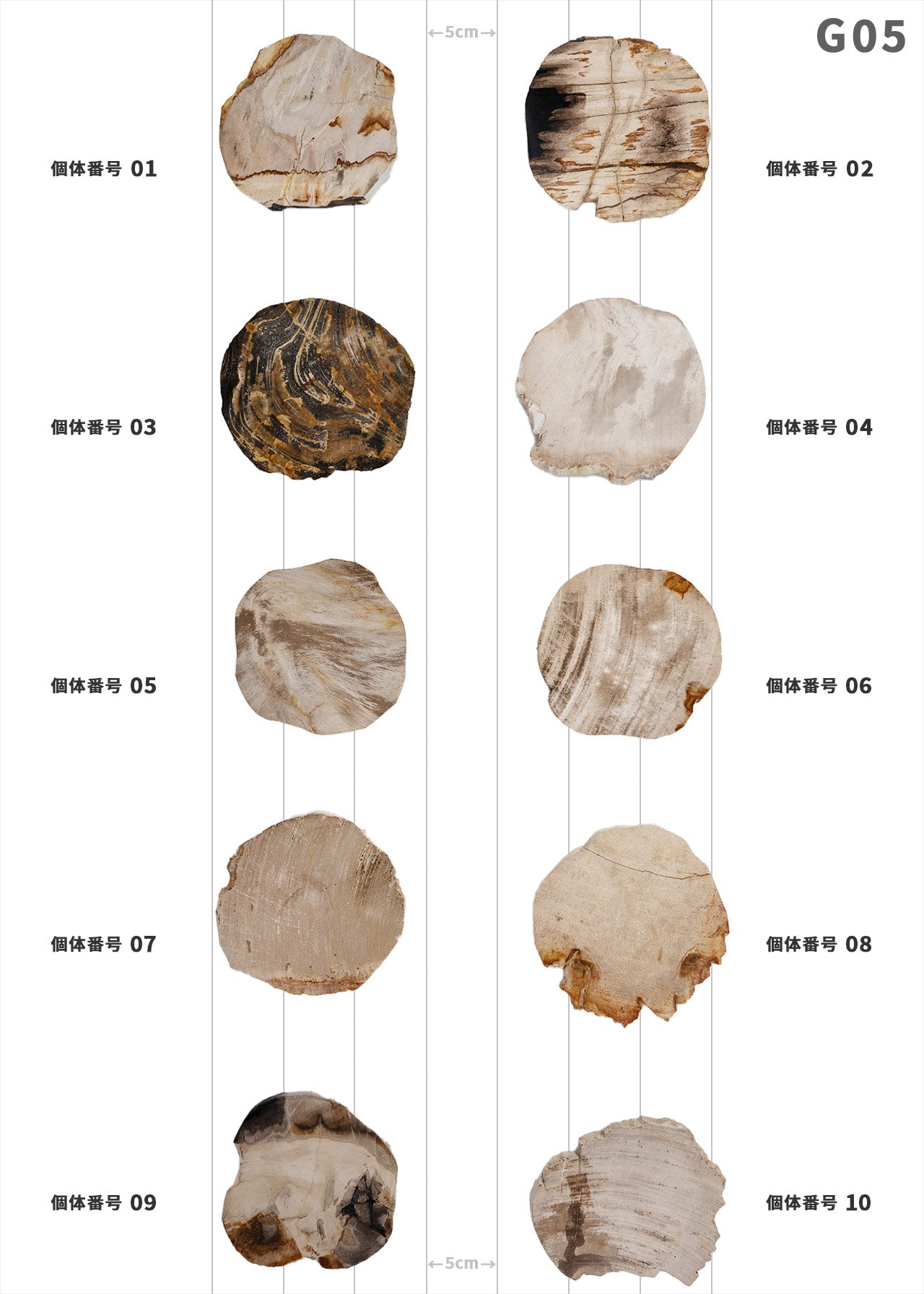 【個体で選べる】amabro WOOD COASTER Natural 珪化木