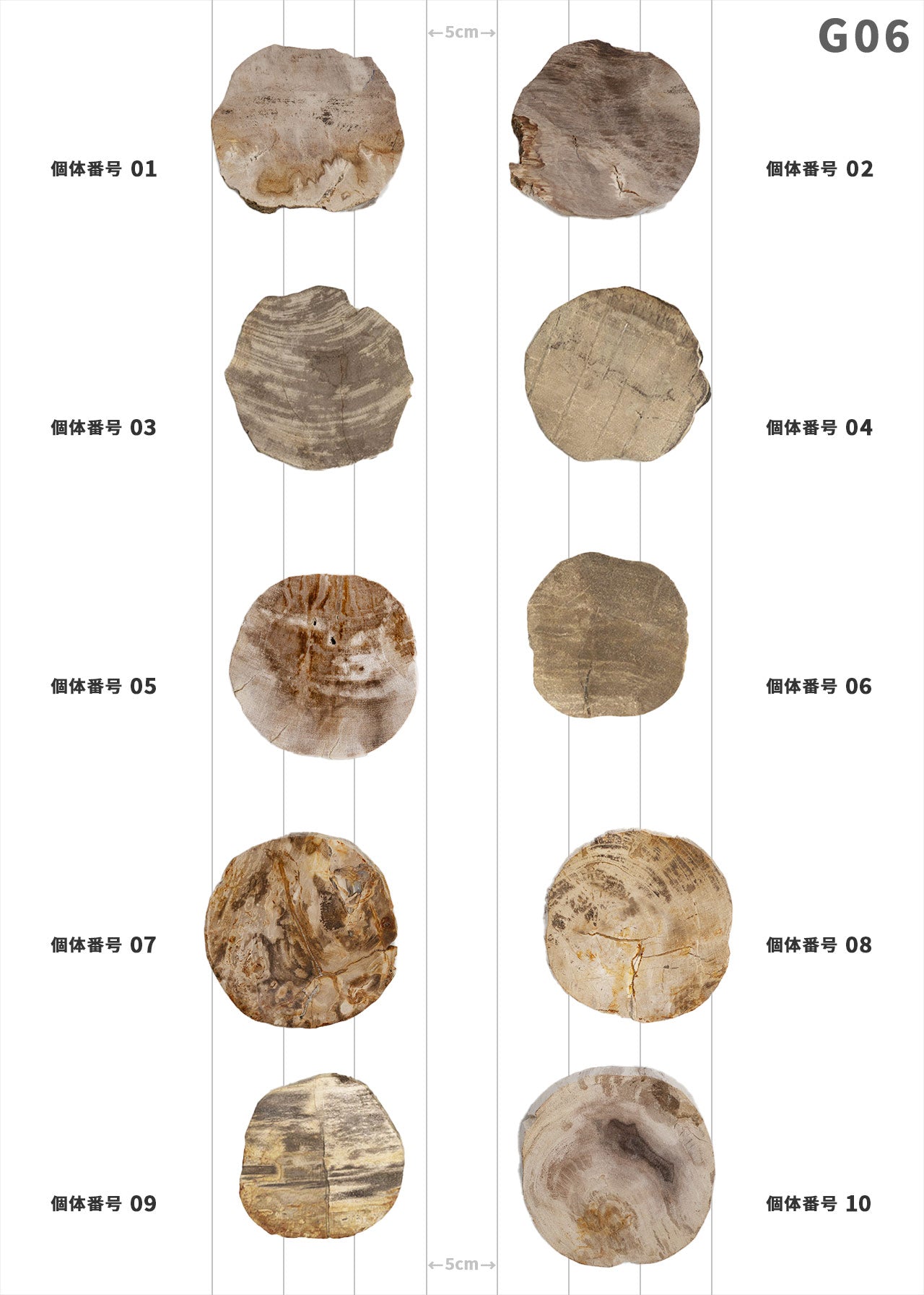 【個体で選べる】amabro WOOD COASTER Natural 珪化木