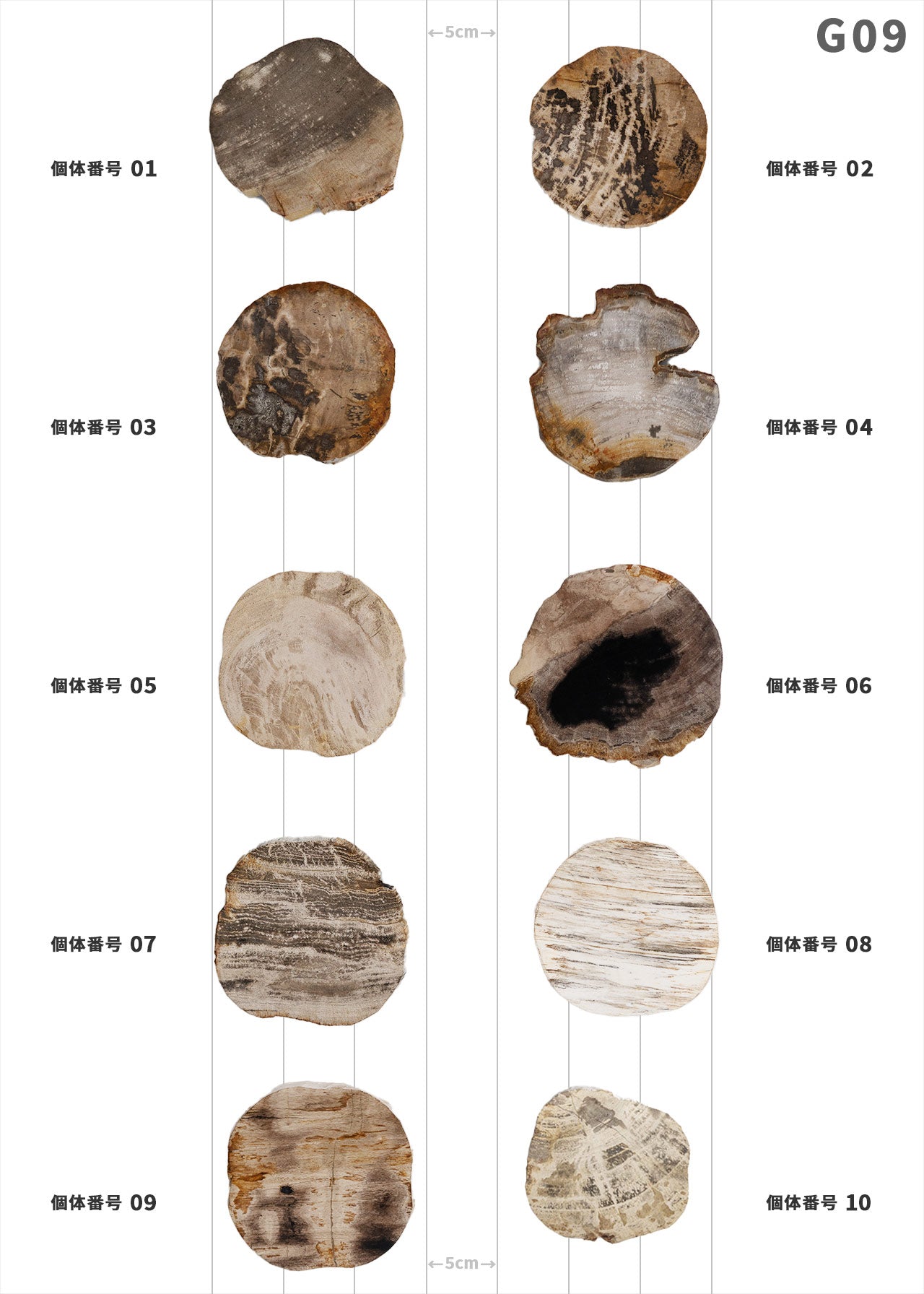 【個体で選べる】amabro WOOD COASTER Natural 珪化木