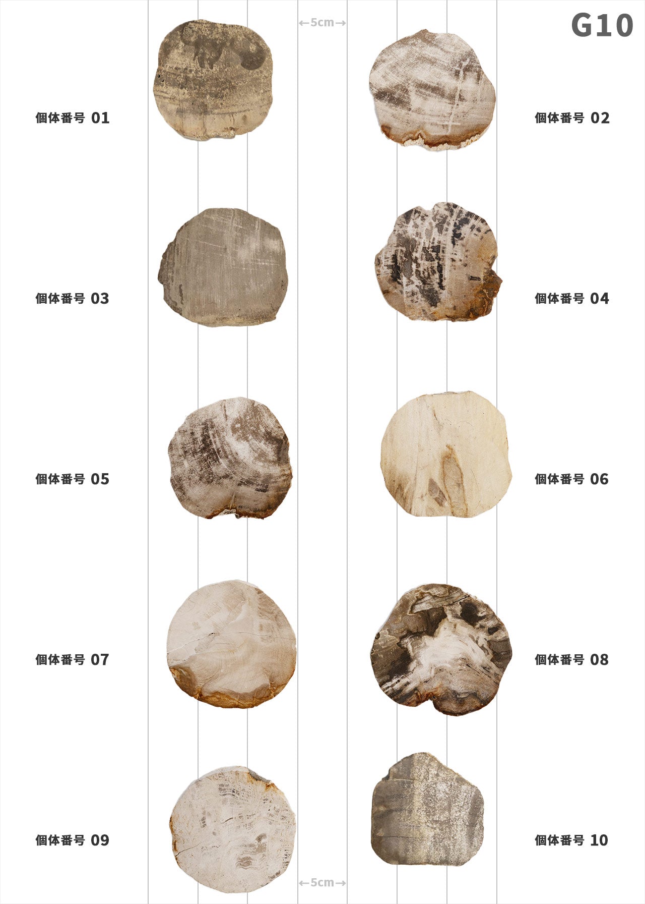【個体で選べる】amabro WOOD COASTER Natural 珪化木