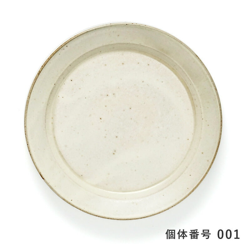 【個体で選べる】秋谷茂郎 切立リム皿 8寸 りんご釉