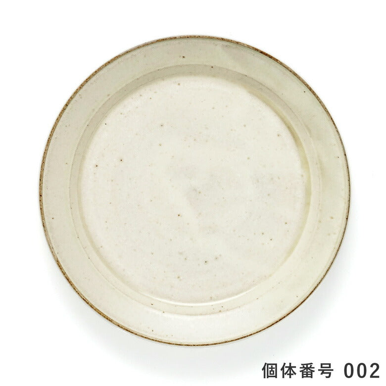 【個体で選べる】秋谷茂郎 切立リム皿 8寸 りんご釉