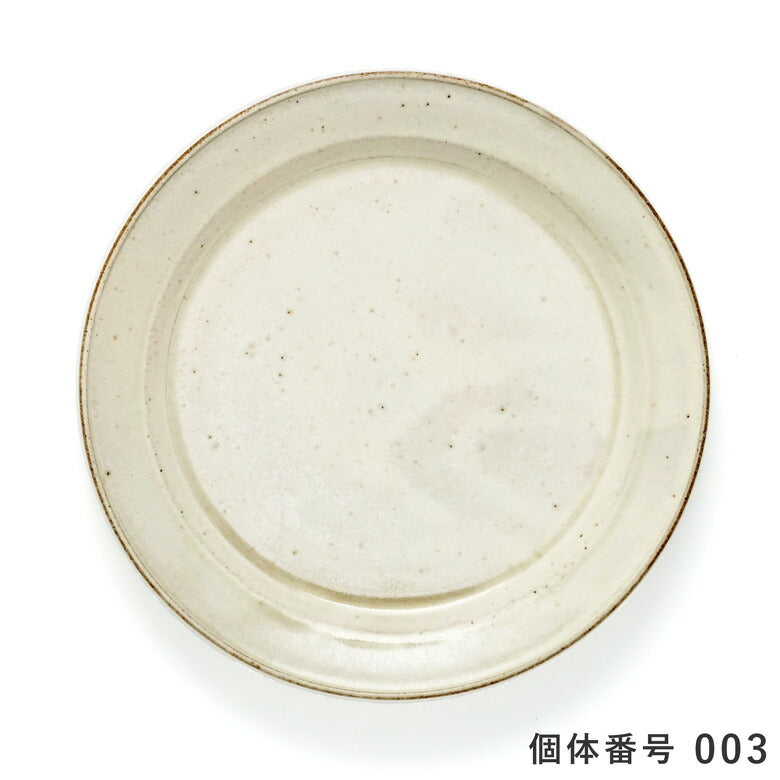 【個体で選べる】秋谷茂郎 切立リム皿 8寸 りんご釉