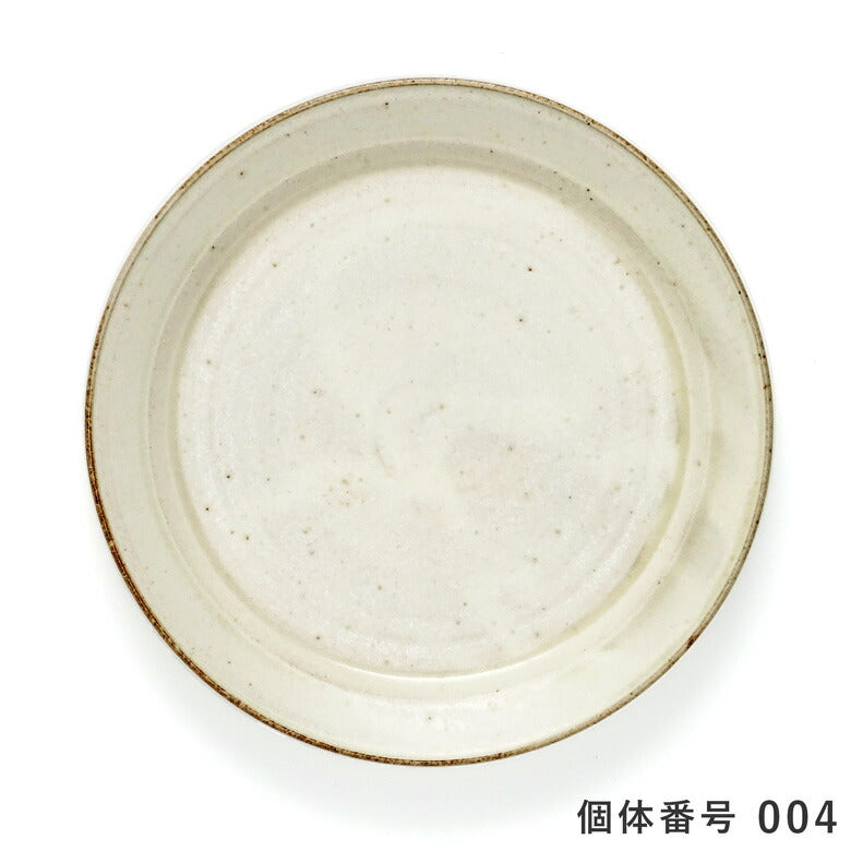 【個体で選べる】秋谷茂郎 切立リム皿 8寸 りんご釉