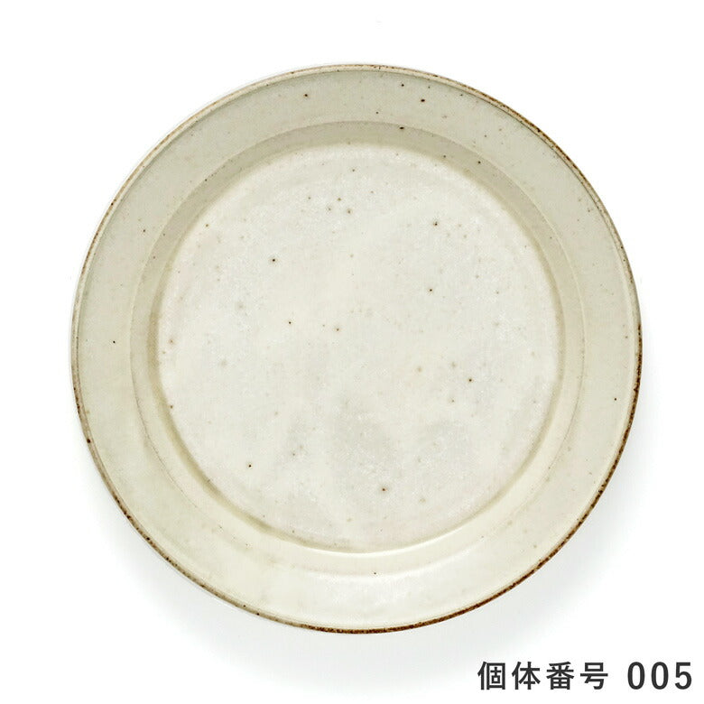 【個体で選べる】秋谷茂郎 切立リム皿 8寸 りんご釉