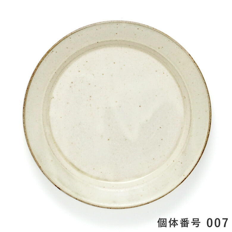 【個体で選べる】秋谷茂郎 切立リム皿 8寸 りんご釉