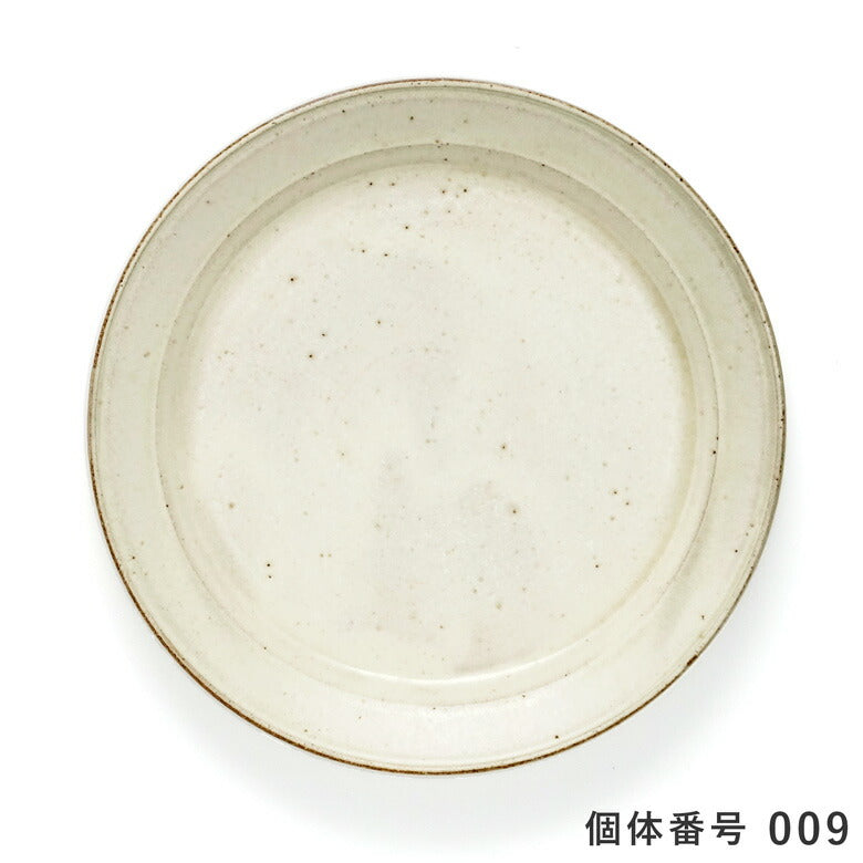 【個体で選べる】秋谷茂郎 切立リム皿 8寸 りんご釉
