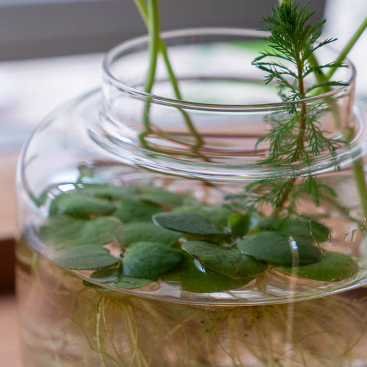 スクルーフ SKRUF RO クリア フラワーベース