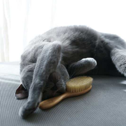 【名入れ】Hug!brush ねこくら オリジナル 猫用ブラシ