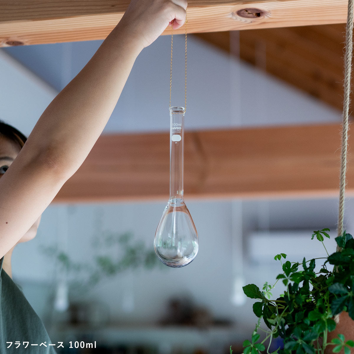 HARIO 一輪挿し ガラス フラスコ フラワーベース 100ml