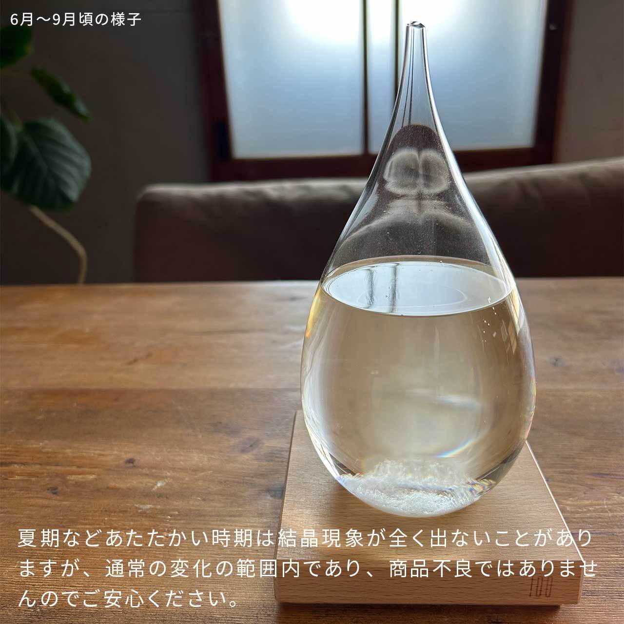 100percent テンポドロップ Tempo Drop ストームグラス