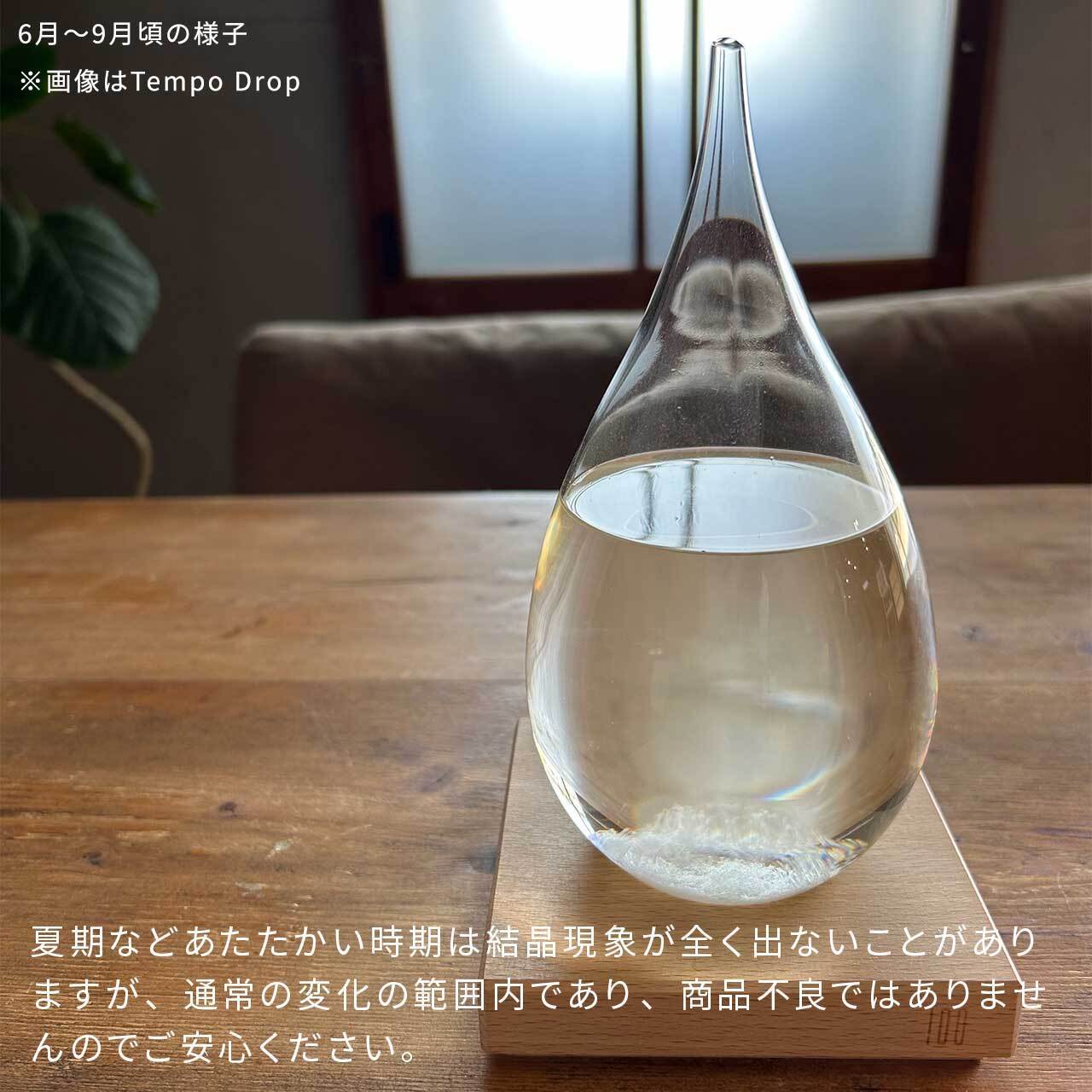 《馬毛のブラシプレゼント》100percent テンポドロップ ミニ グレー ドーン Tempo Drop mini Dawn ストームグラス