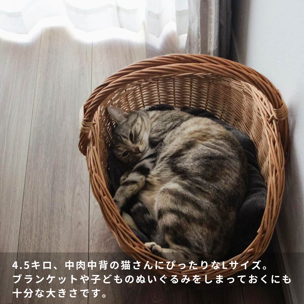 ねこがすっぽり入る ラトビア 薪のかご PinumuPasaule 2サイズ