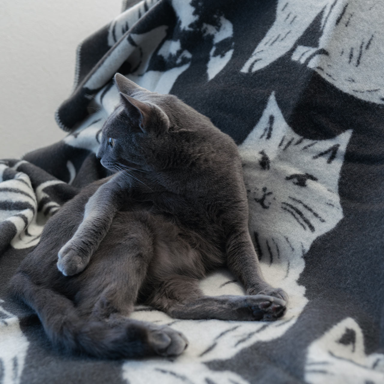 ラプアンカンクリ KISSANPAIVAT ウールブランケット 4色 猫の日