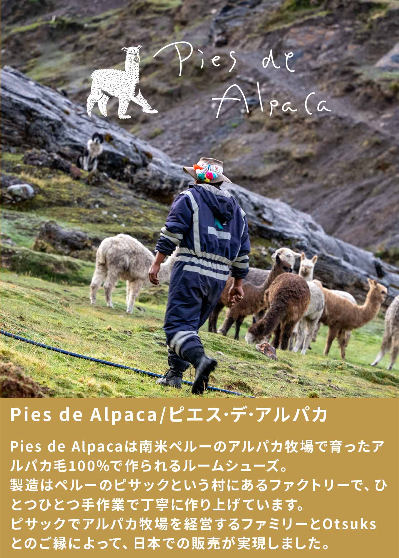 【10月早割】ピエス・デ・アルパカ アルパカ毛100% ルームシューズ
