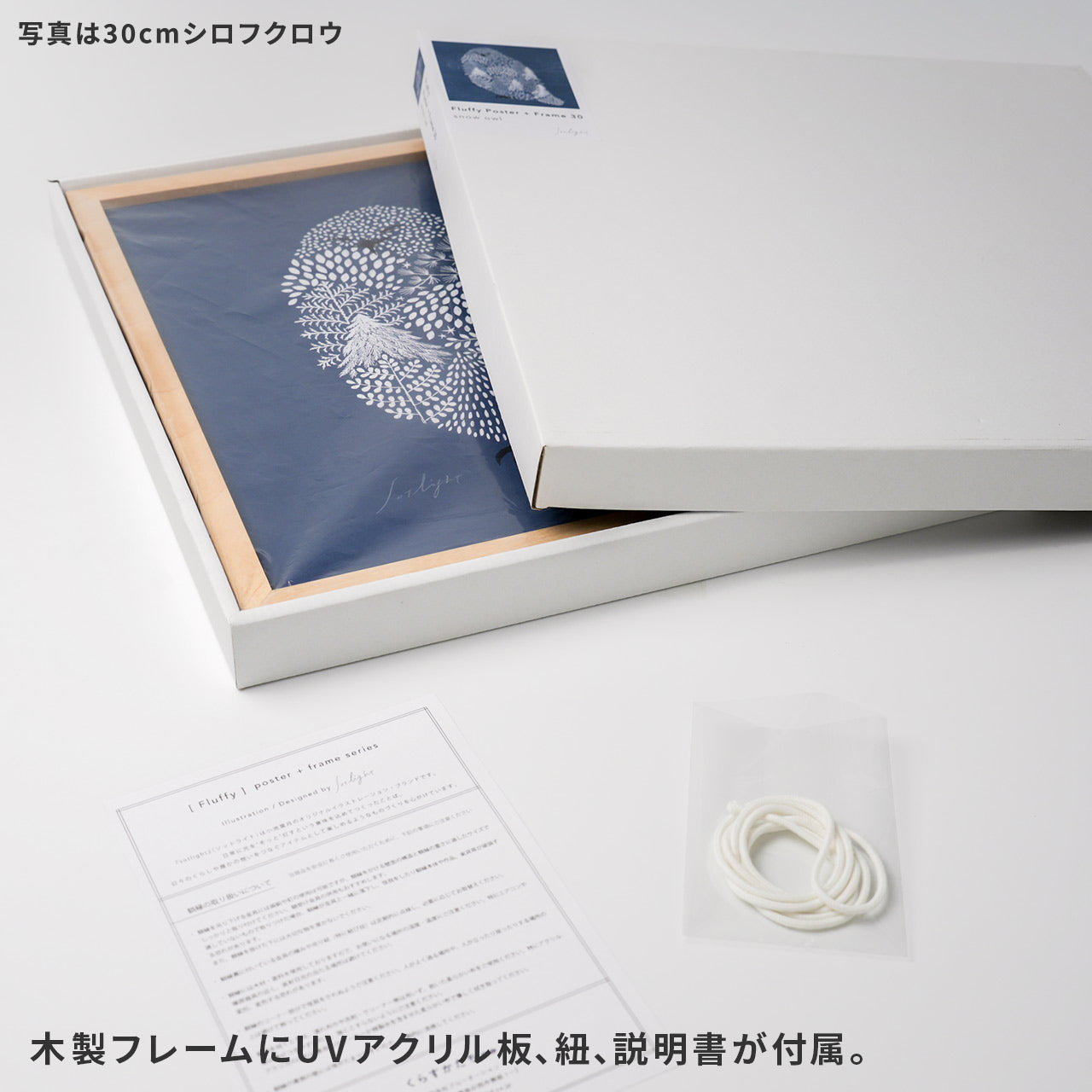 sotlight キウイ 30cm アートポスター フレーム付き