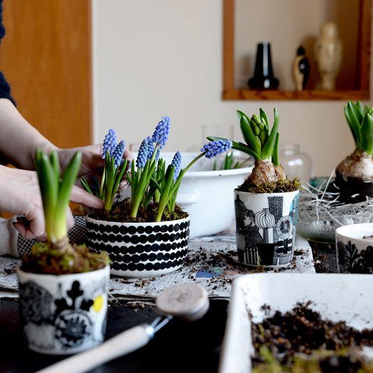 マリメッコ シイルトラプータルハ ラテマグ 196 グリーン marimekko SIIRTOLAPUUTARHA