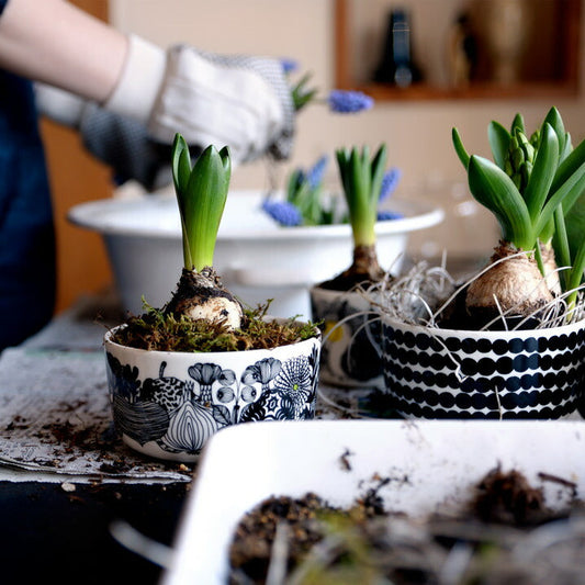 マリメッコ シイルトラプータルハ ボウル 500ml 096 ホワイト/ブラック marimekko SIIRTOLAPUUTARHA