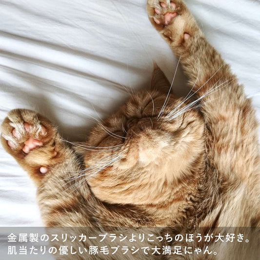 レデッカー 猫が喜ぶ キャットブラシ &手入れ用毛取りセット