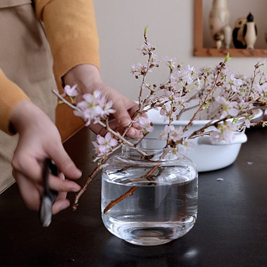 気軽に草花を飾ってみる「おうちでお花見。小さなガラス花瓶に桜を生けるコツ」