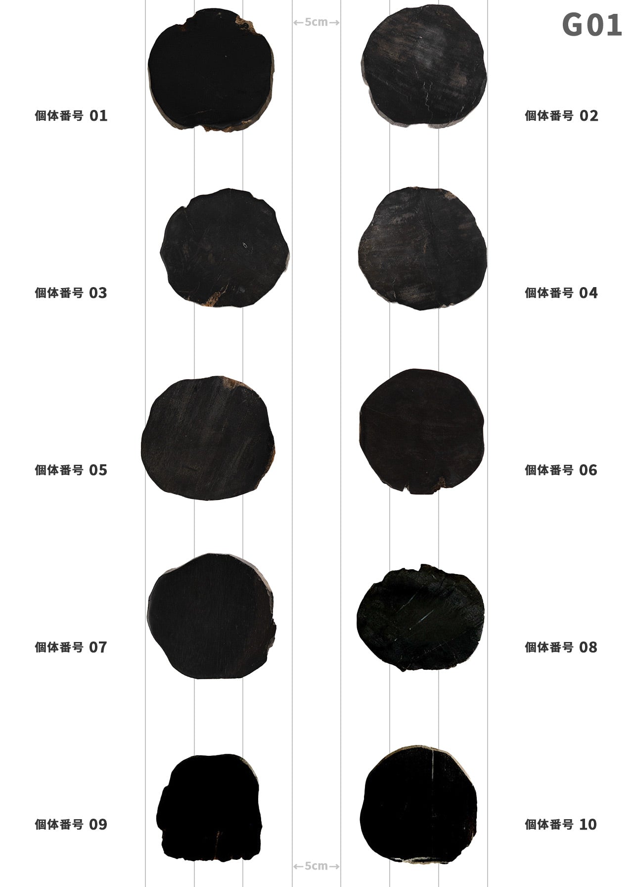 【個体で選べる】 amabro WOOD COASTER Black  珪化木