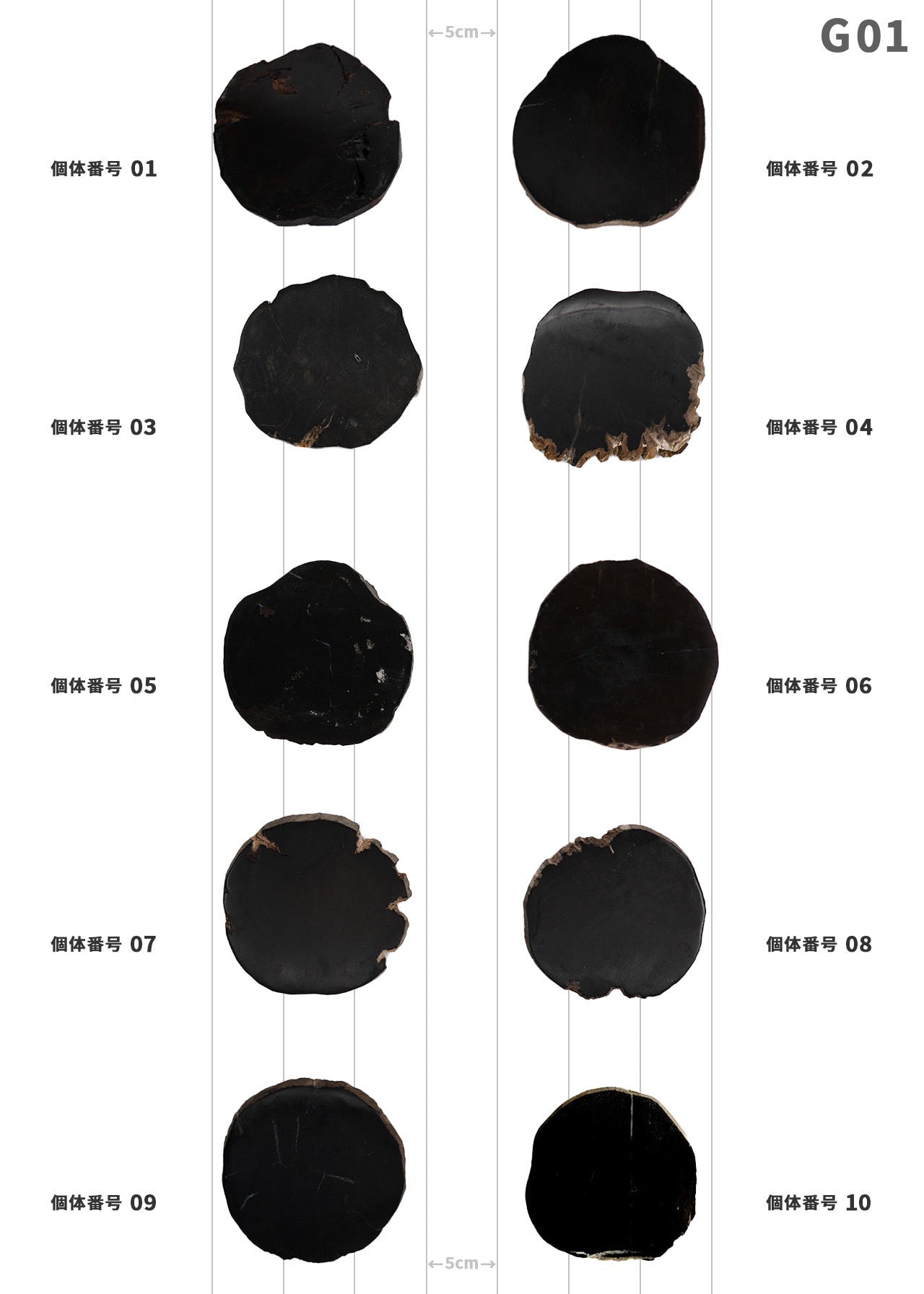 【個体で選べる】 amabro WOOD COASTER Black  珪化木