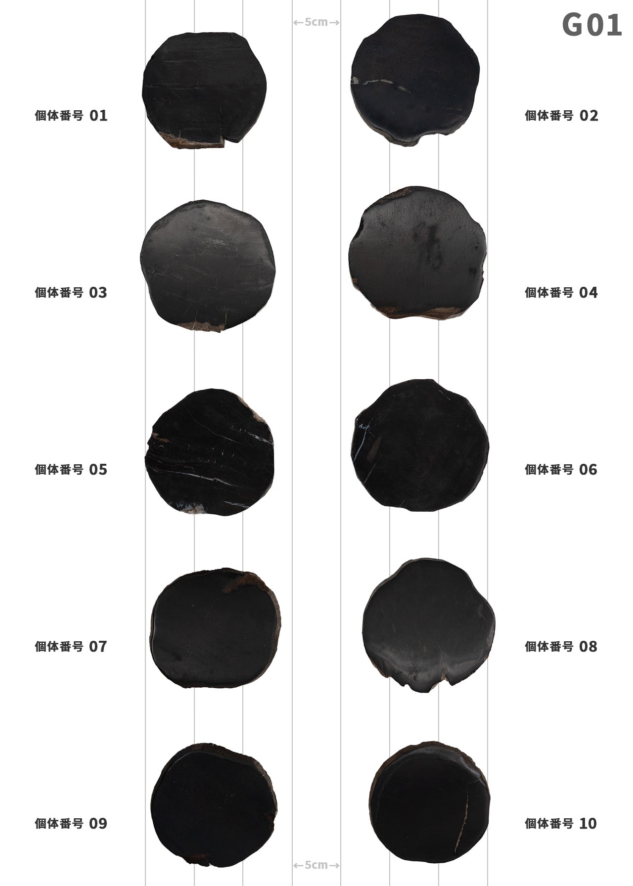 【個体で選べる】 amabro WOOD COASTER Black  珪化木