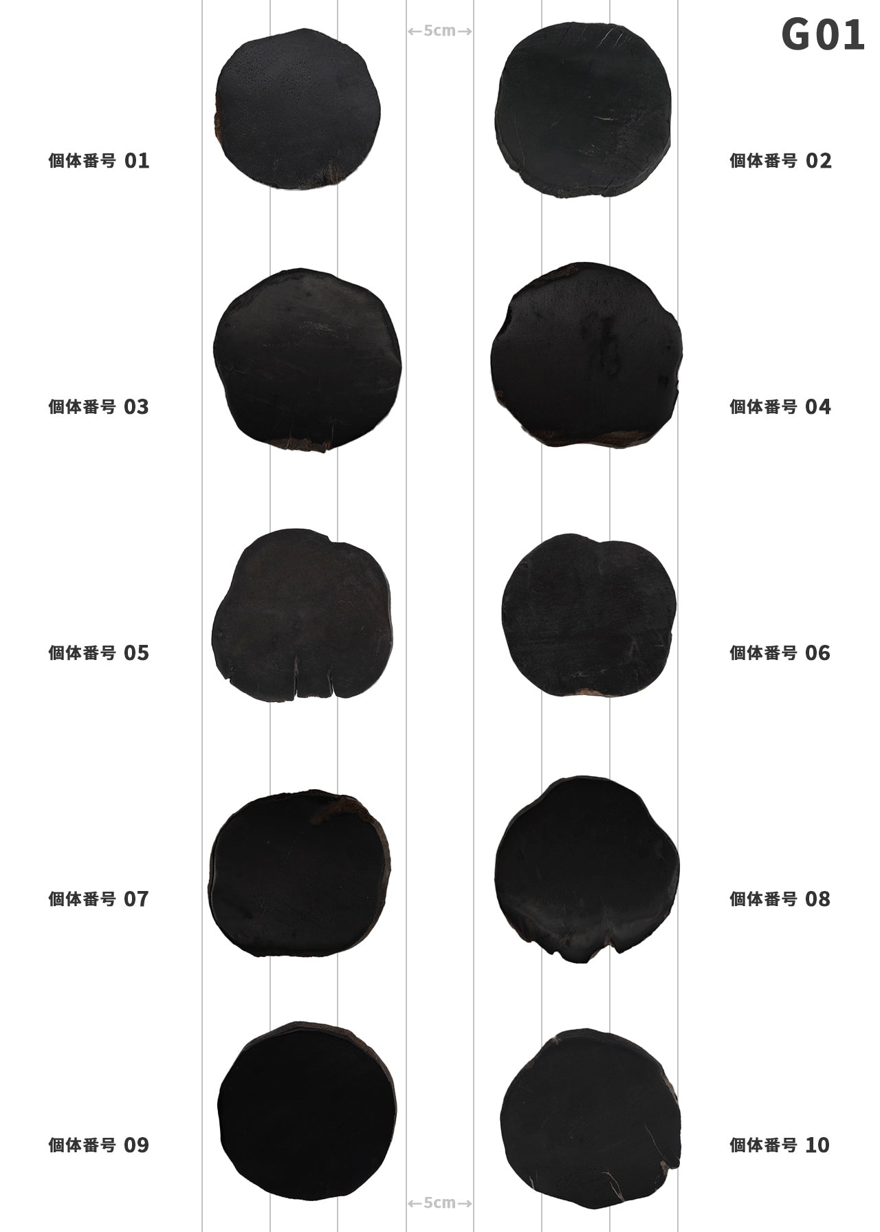 100個体が選べる amabro 珪化木 ウッドコースター ブラック – くらすかたち
