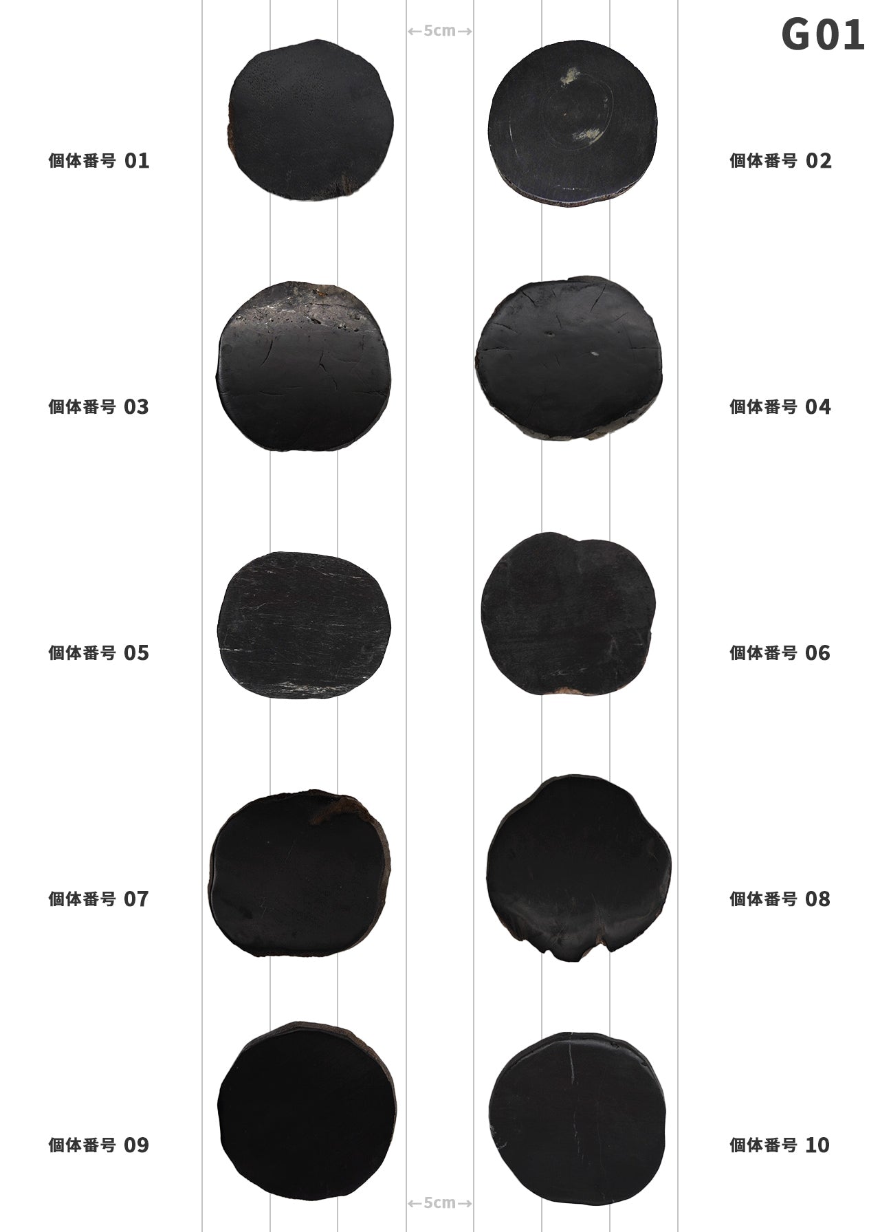 100個体が選べる amabro 珪化木 ウッドコースター ブラック – くらすかたち