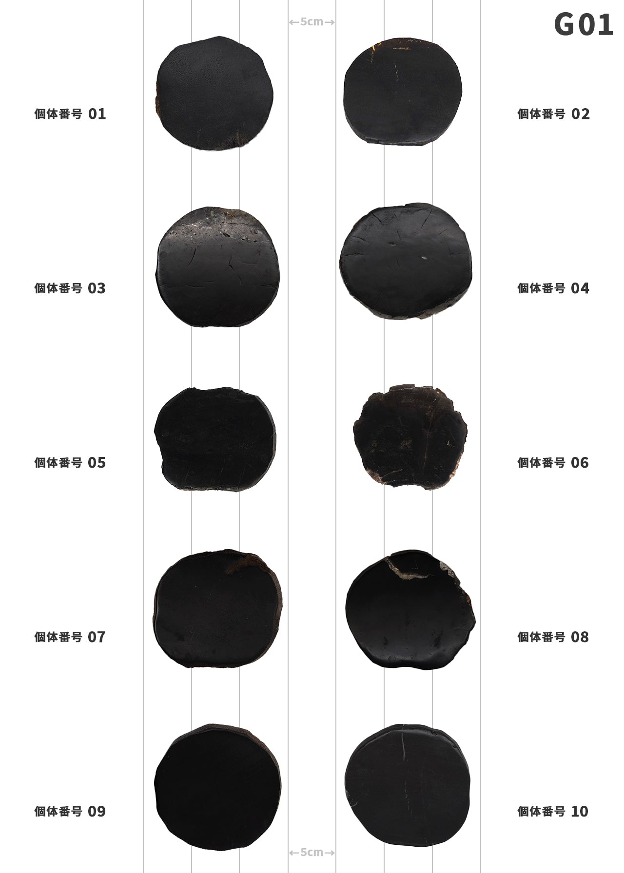 100個体が選べる amabro 珪化木 ウッドコースター ブラック – くらすかたち