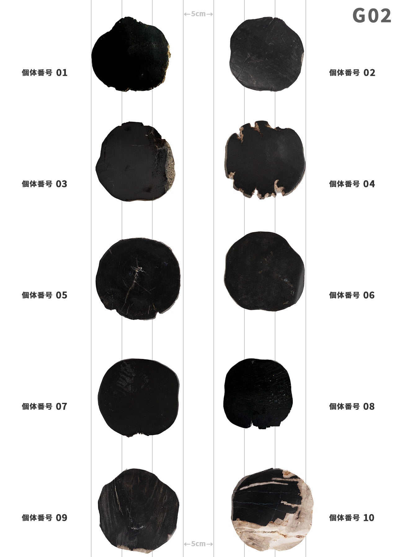 【個体で選べる】 amabro WOOD COASTER Black  珪化木