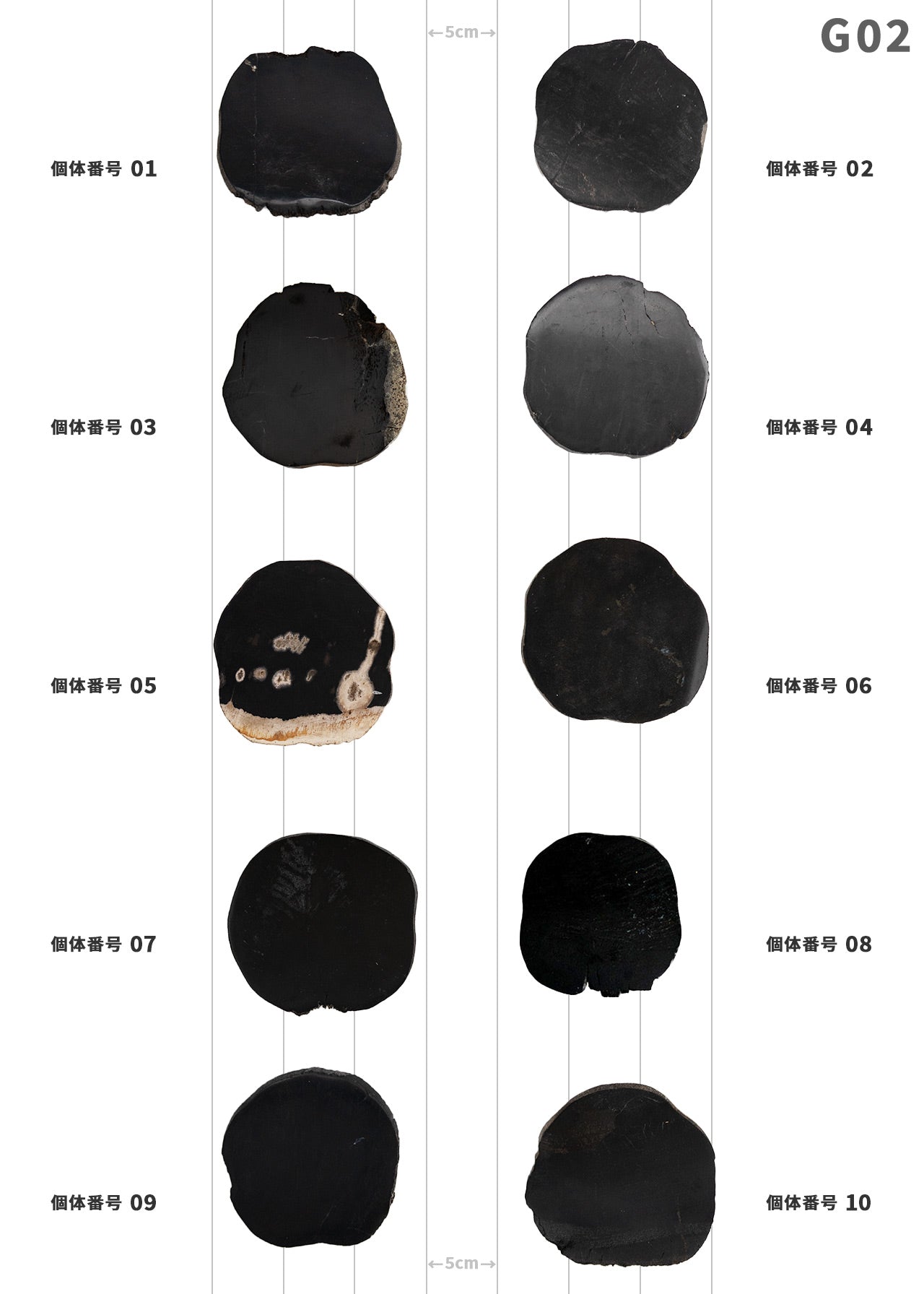 【個体で選べる】 amabro WOOD COASTER Black  珪化木