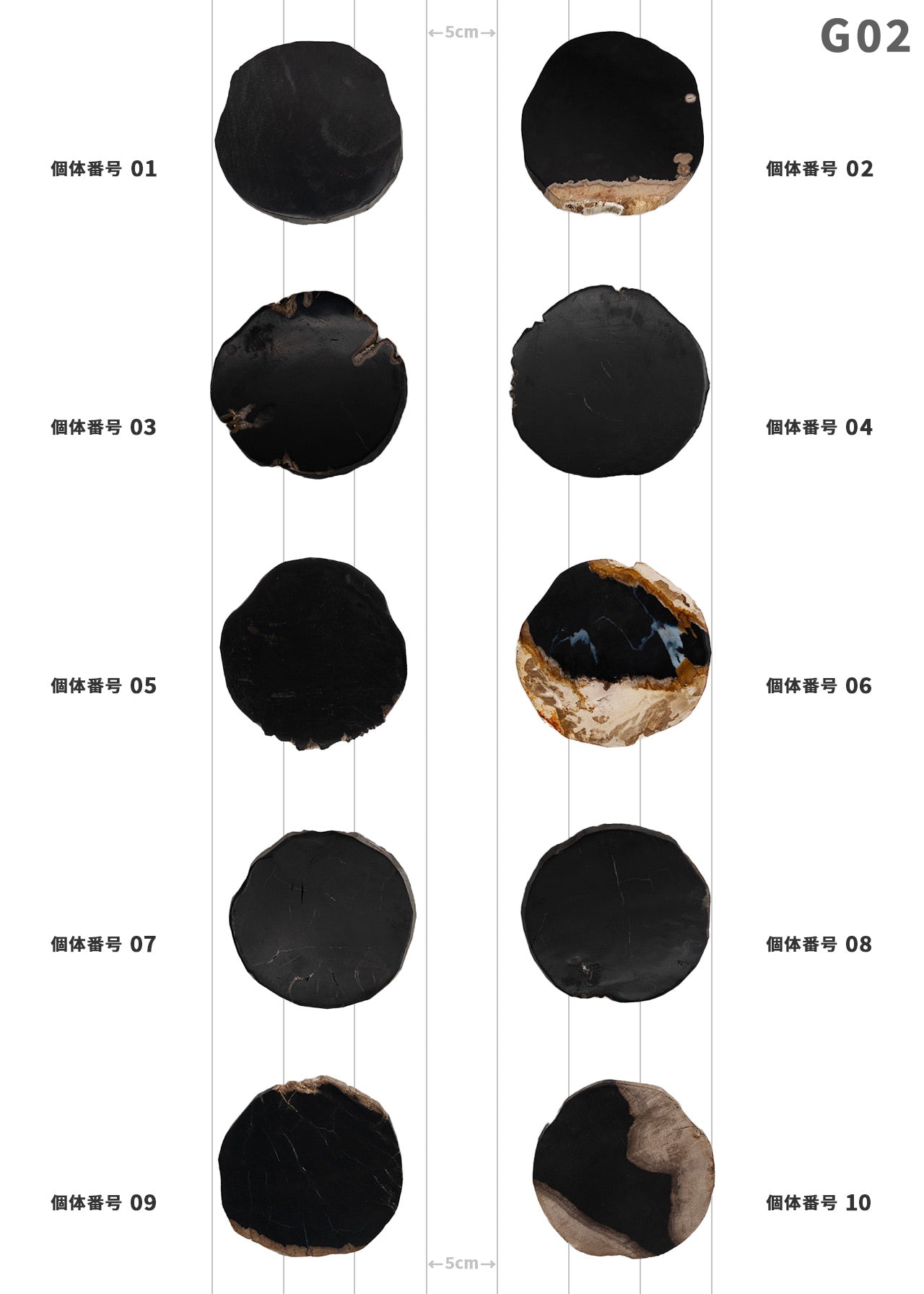 【100個体で選べる】 amabro WOOD COASTER Black  珪化木 コースター