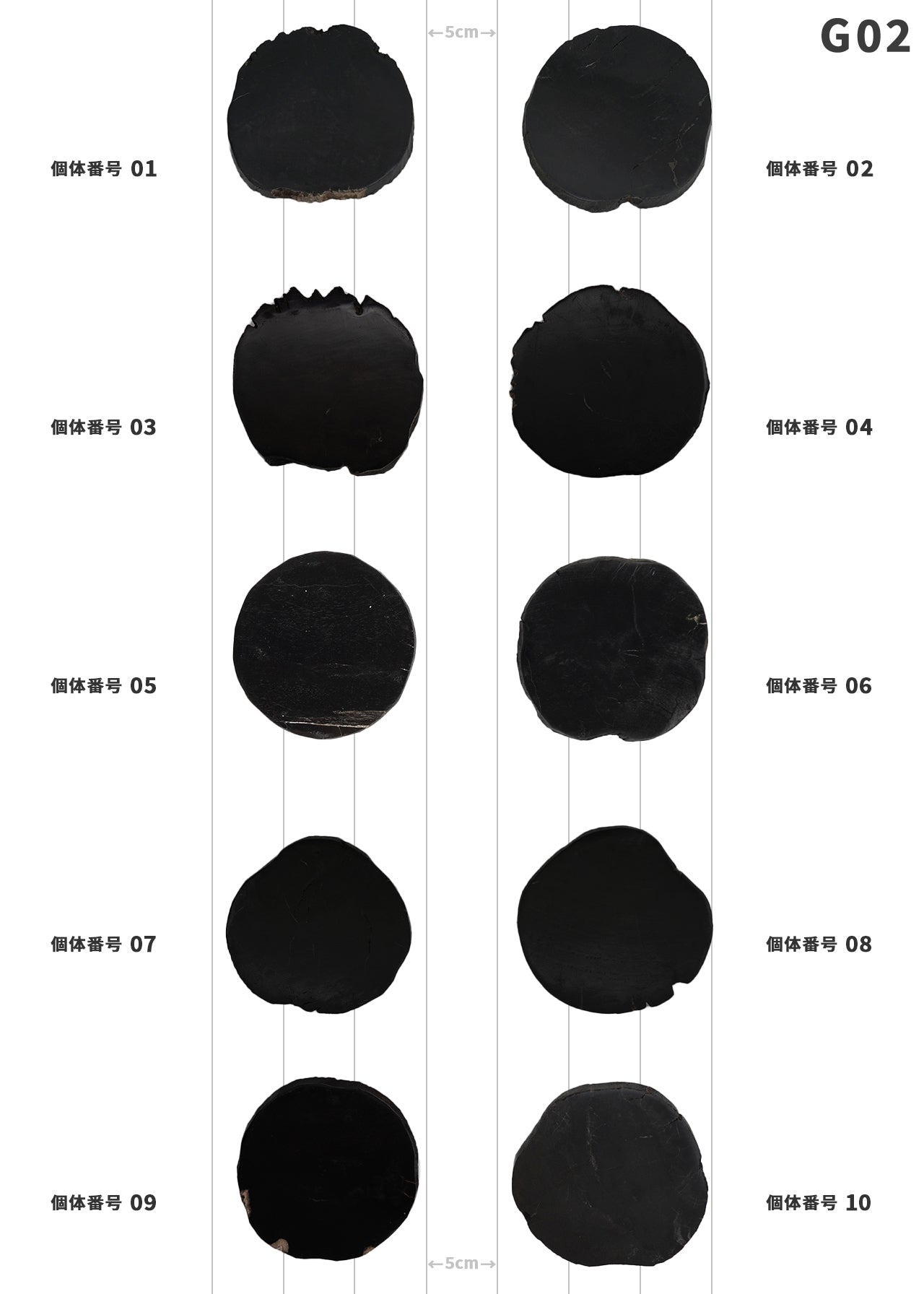 【100個体で選べる】 amabro WOOD COASTER Black  珪化木 コースター