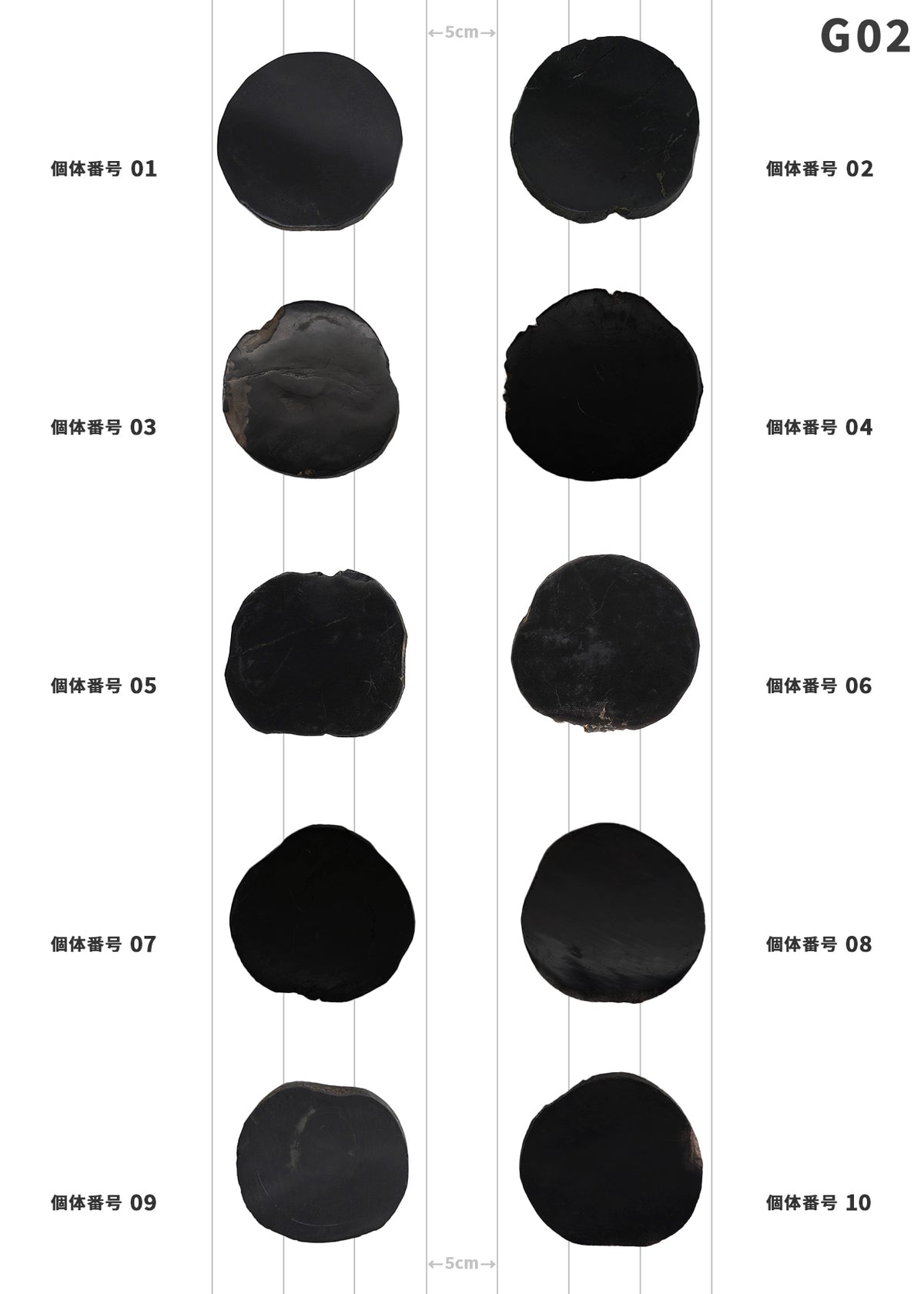 【50個体～】amabro WOOD COASTER Black  珪化木 コースター