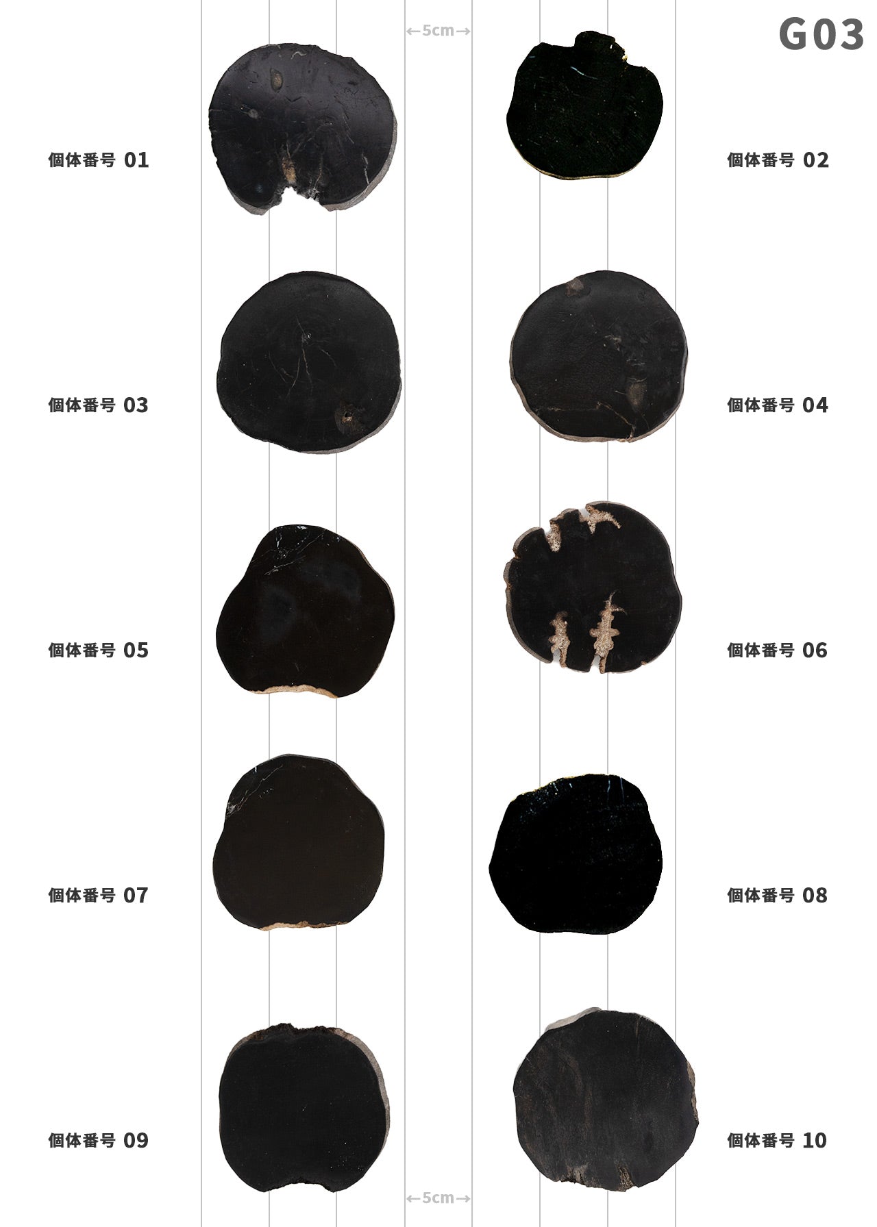 【個体で選べる】 amabro WOOD COASTER Black  珪化木
