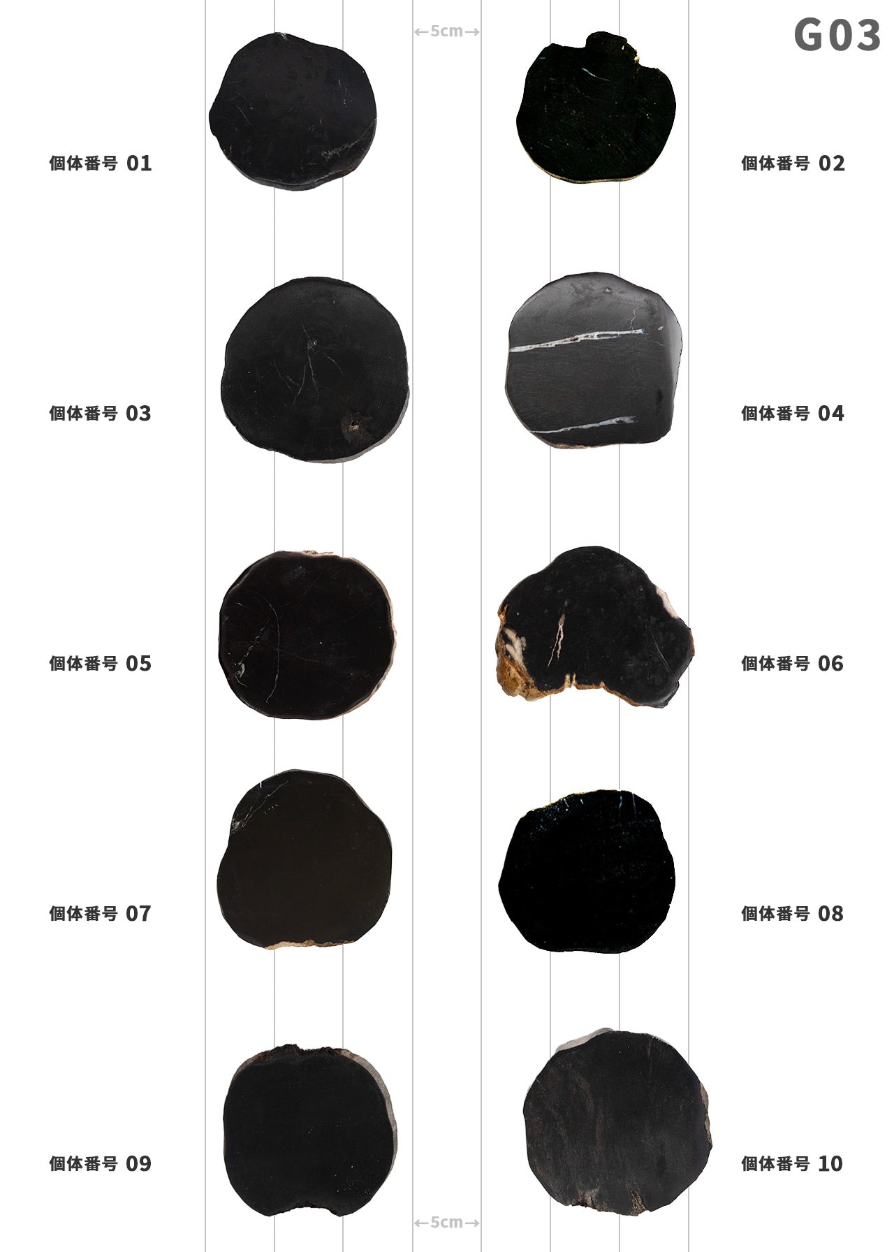 【個体で選べる】 amabro WOOD COASTER Black  珪化木