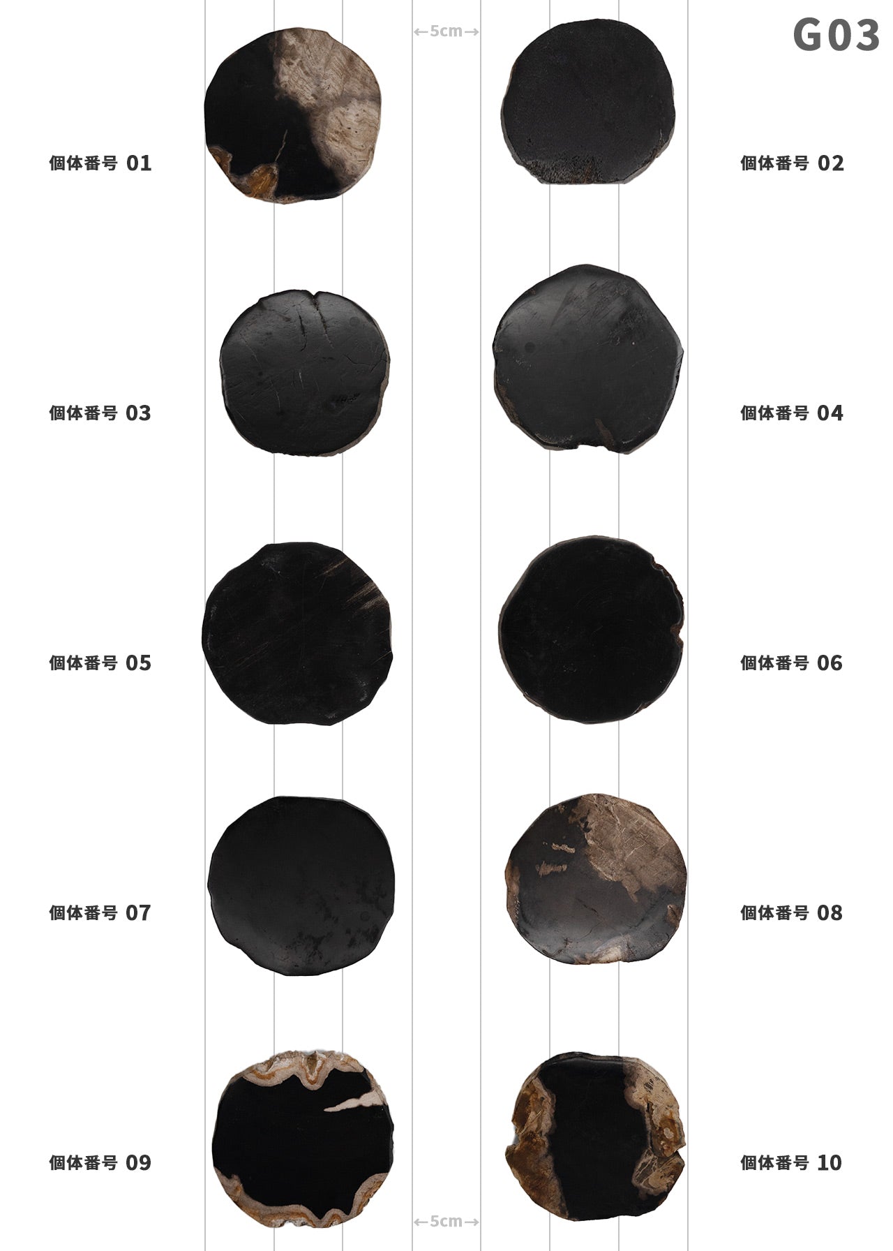 【個体で選べる】 amabro WOOD COASTER Black  珪化木