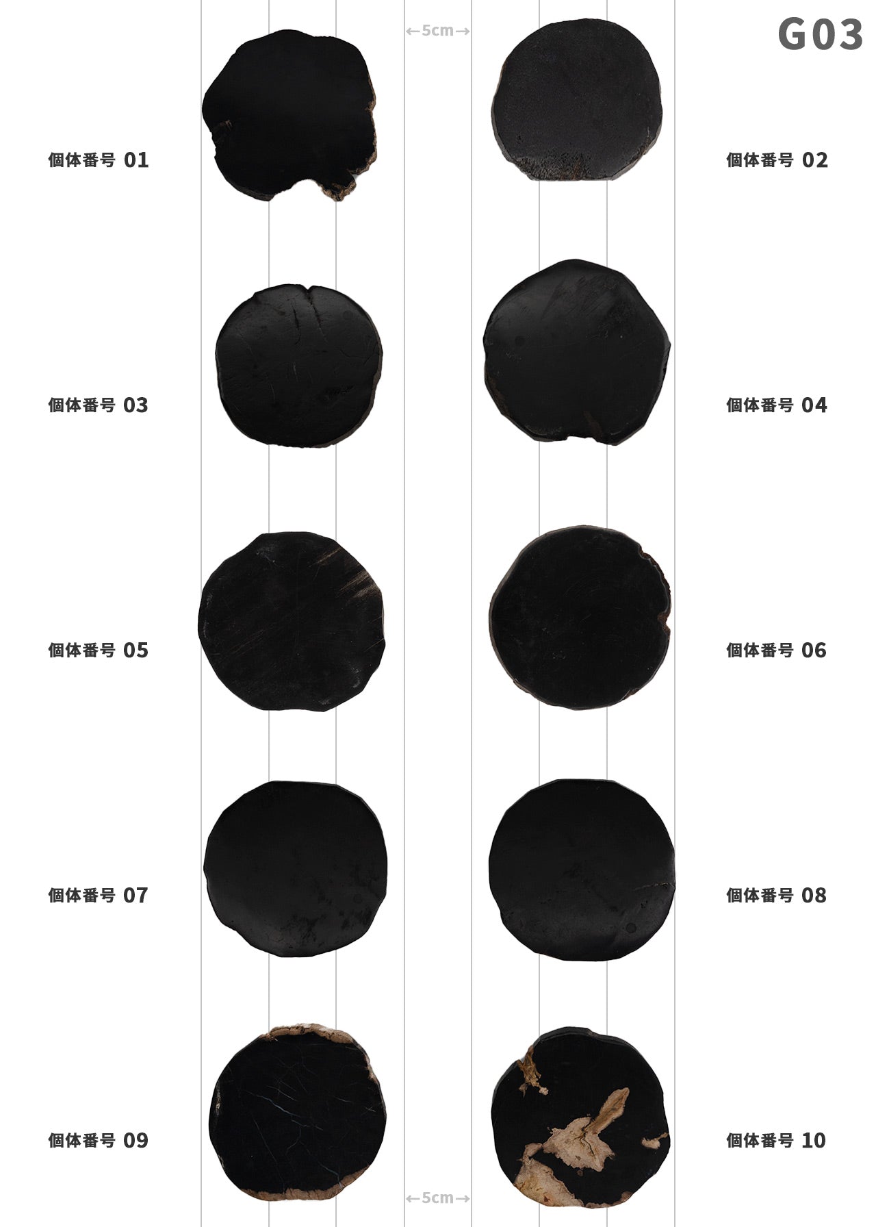 【100個体で選べる】 amabro WOOD COASTER Black  珪化木 コースター