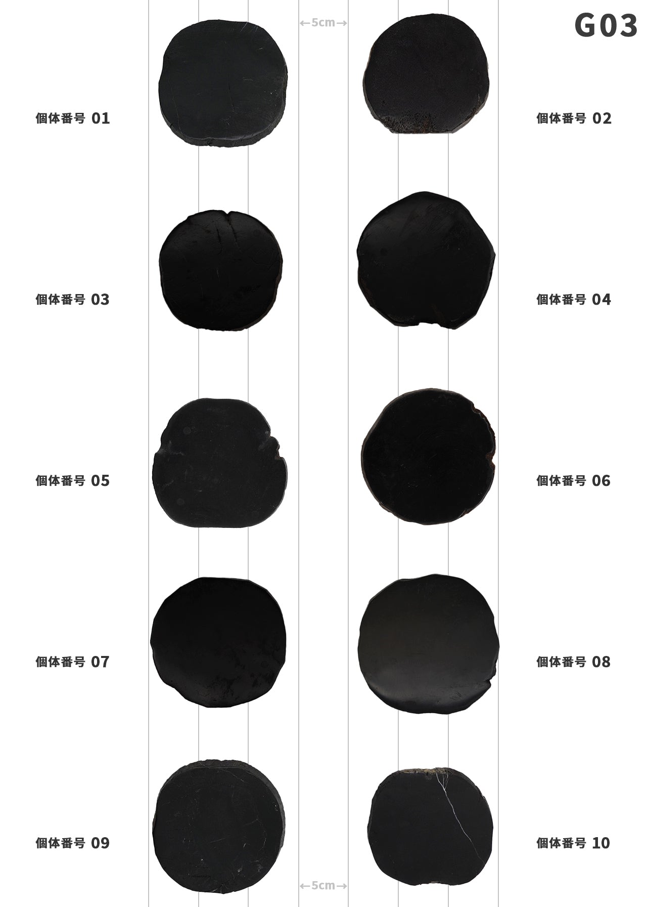 【100個体で選べる】 amabro WOOD COASTER Black  珪化木 コースター