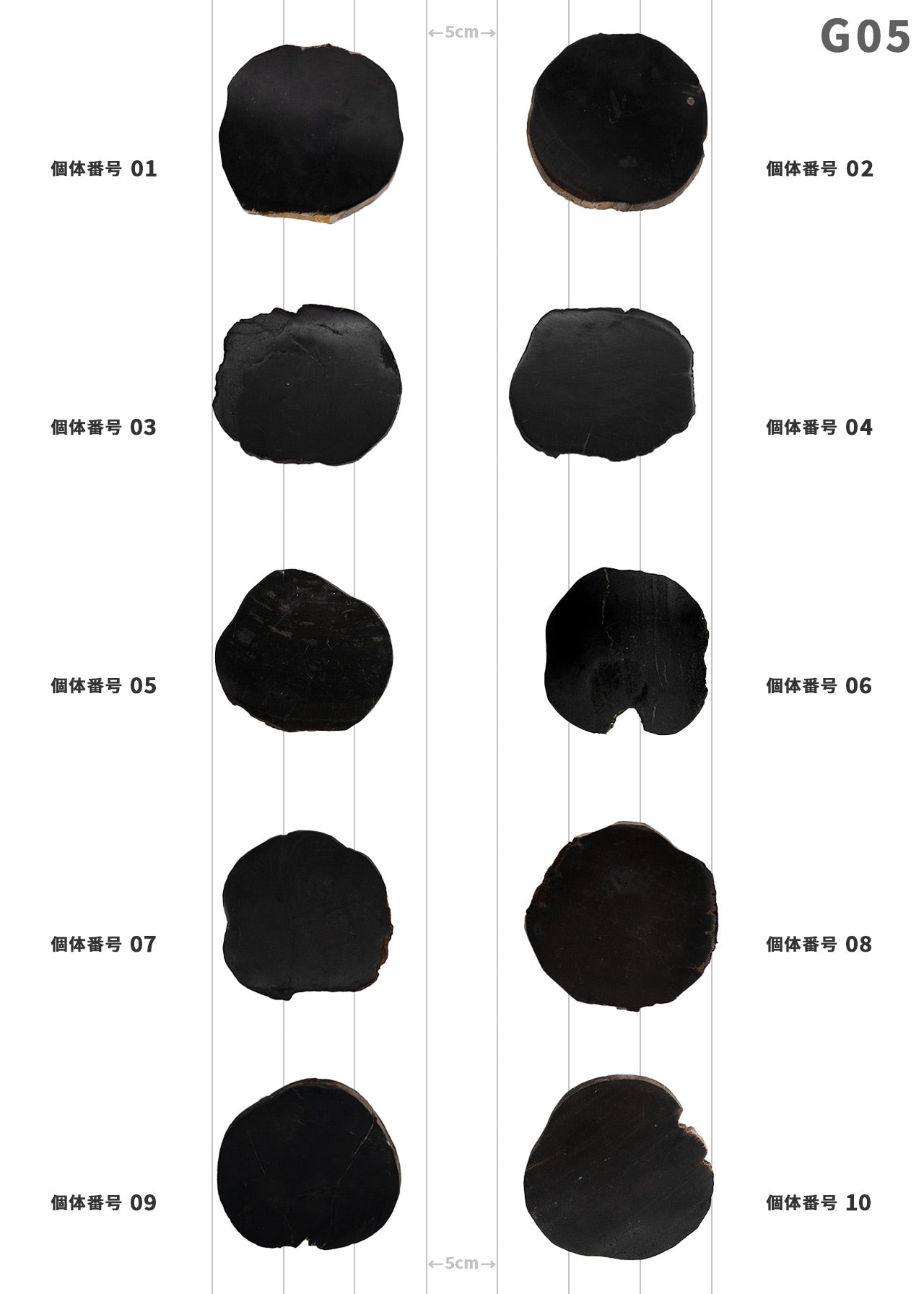 【個体で選べる】 amabro WOOD COASTER Black  珪化木